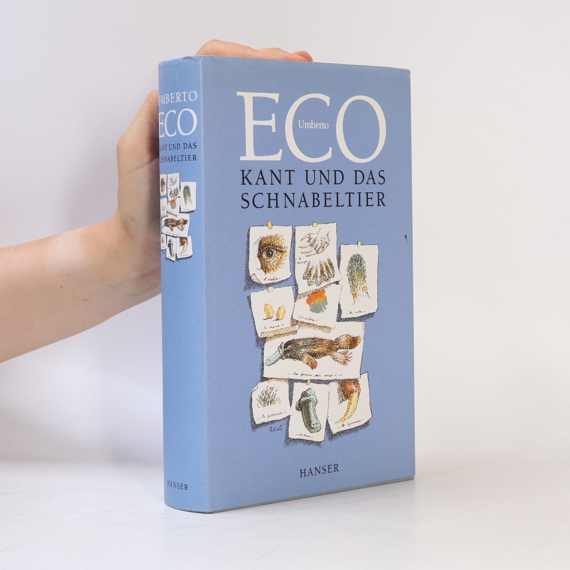 Umberto Eco Kant und das Schnabeltier