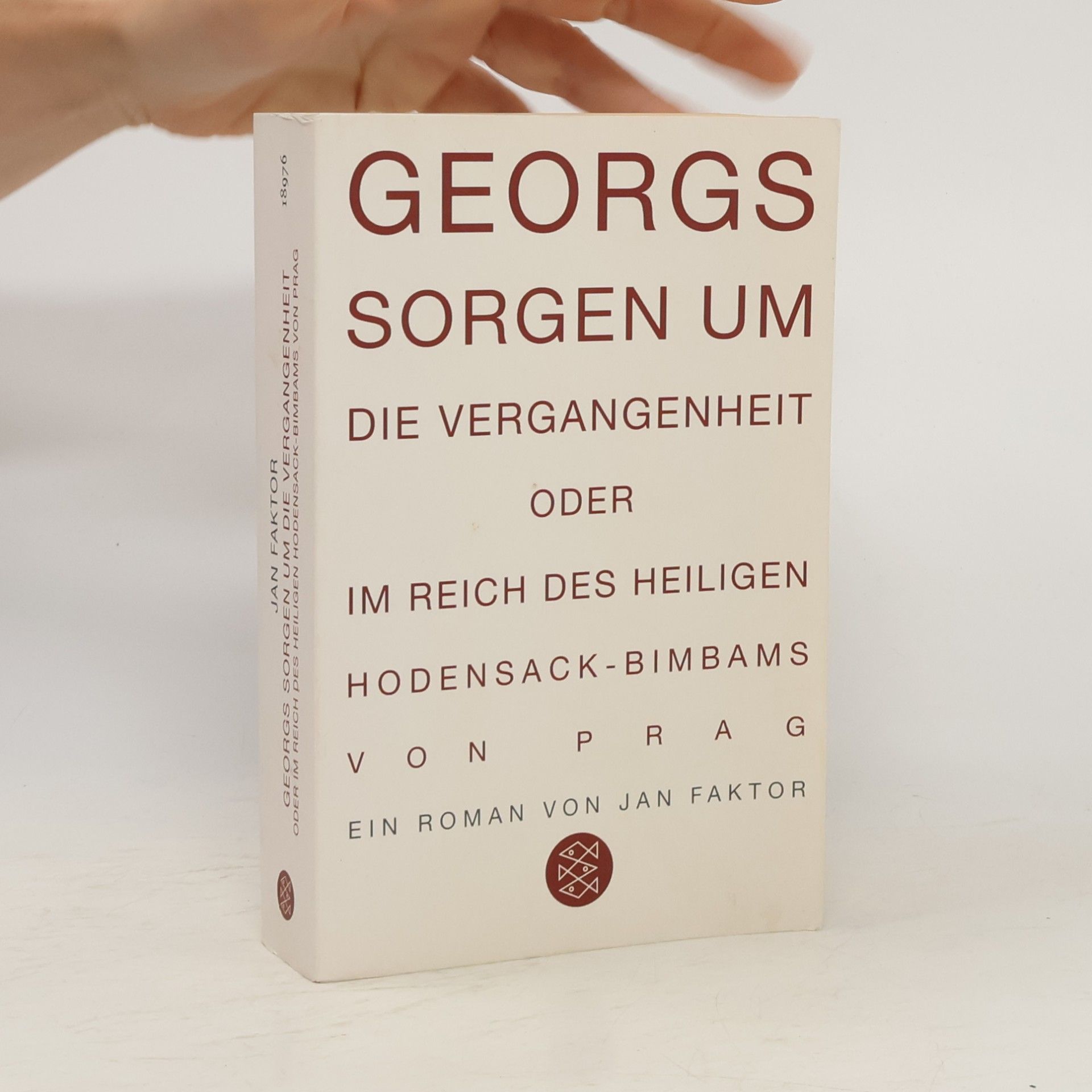 Jan Faktor Georgs Sorgen um die Vergangenheit oder Im Reich des heiligen Hodensack-Bimbams von Prag. Roman
