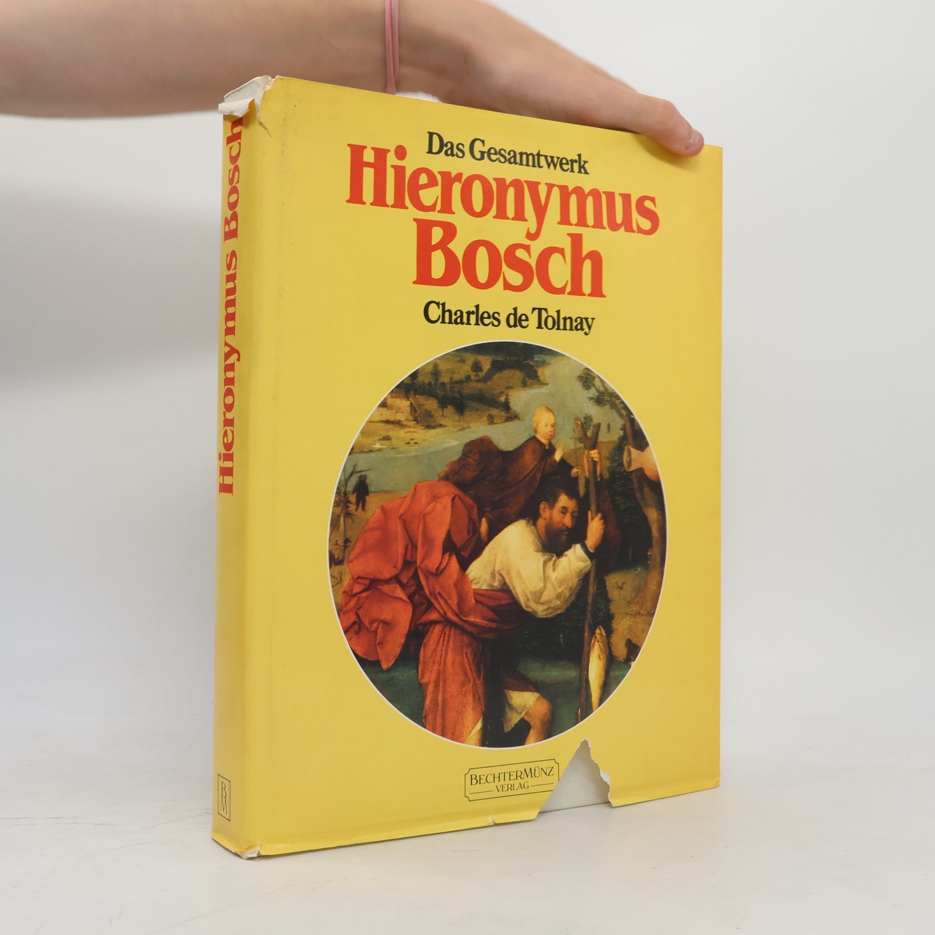 Charles De Tolnay Das Gesamtwerk: Hieronymus Bosch