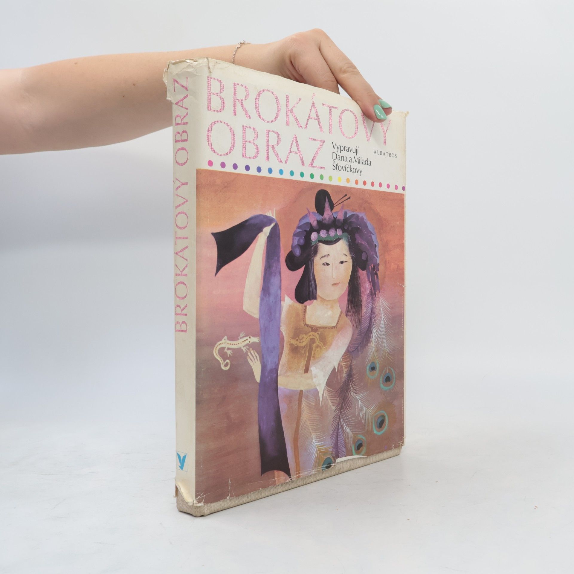 Dana Šťovíčková Brokátový obraz