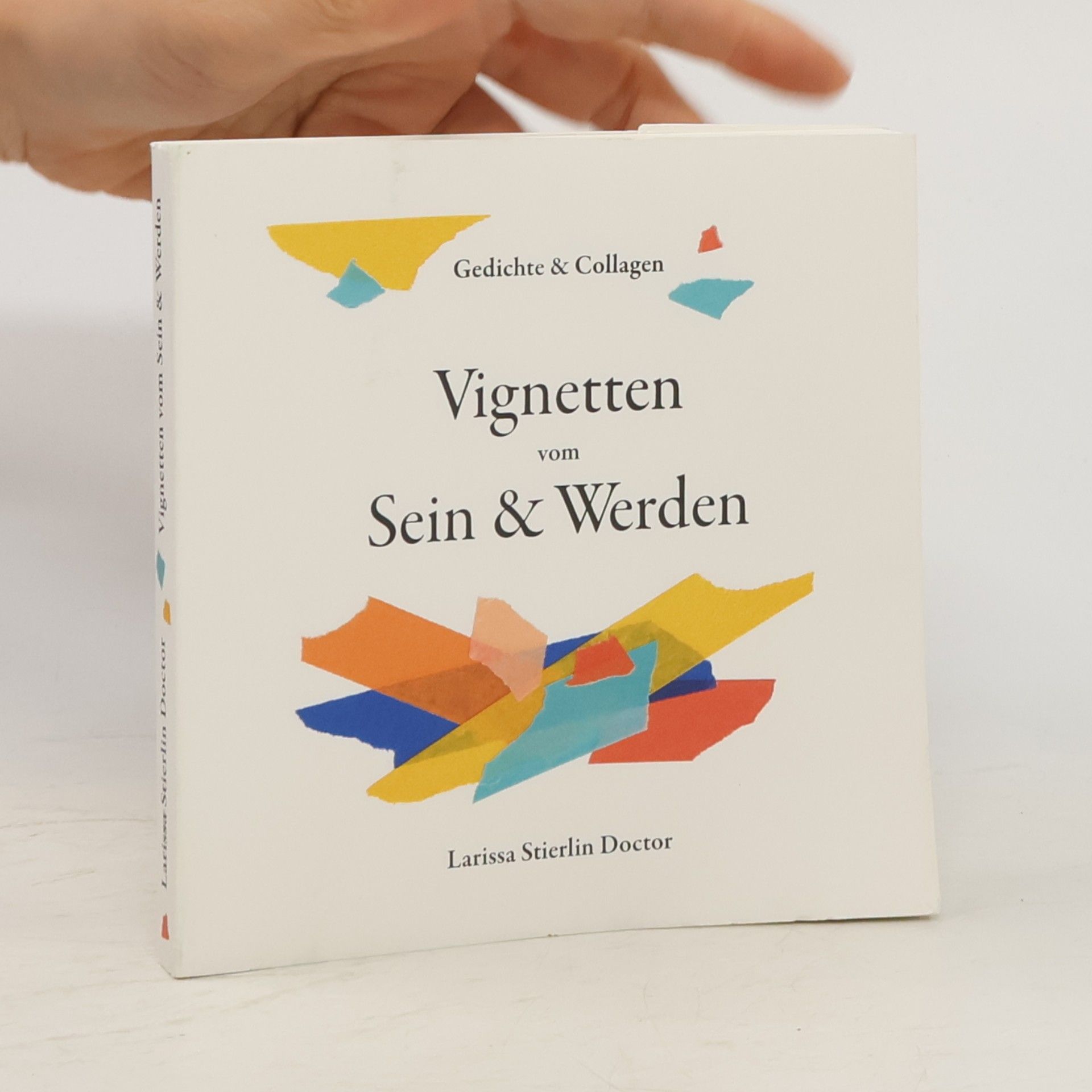 Larissa Stierlin Doctor Vignetten vom Sein & Werden: Gedichte & Collagen