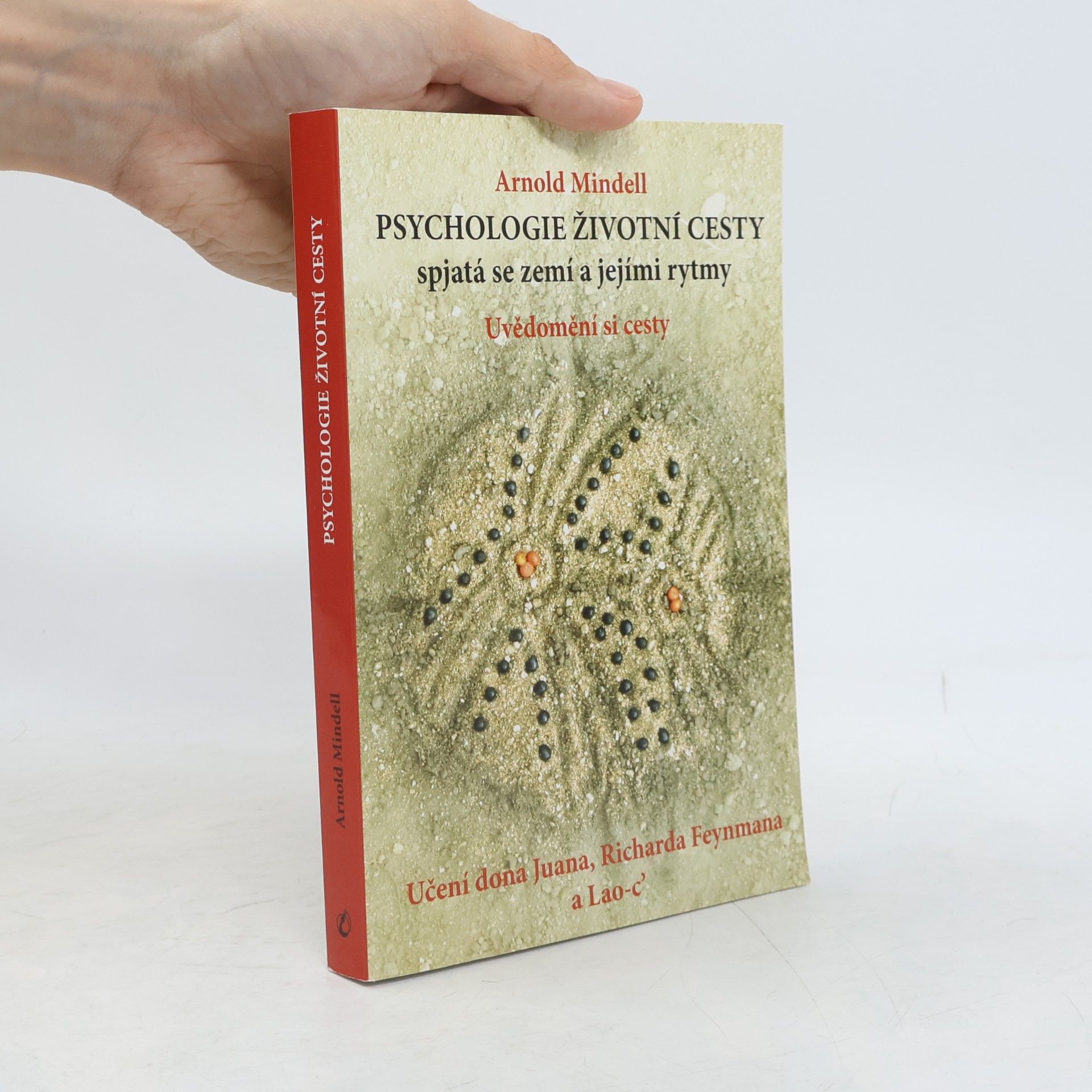 Arnold Mindell Psychologie životní cesty spjatá se zemí a jejími rytmy: Uvědomění si cesty: Učení dona Juana, Richarda Feynmana a Lao-c'