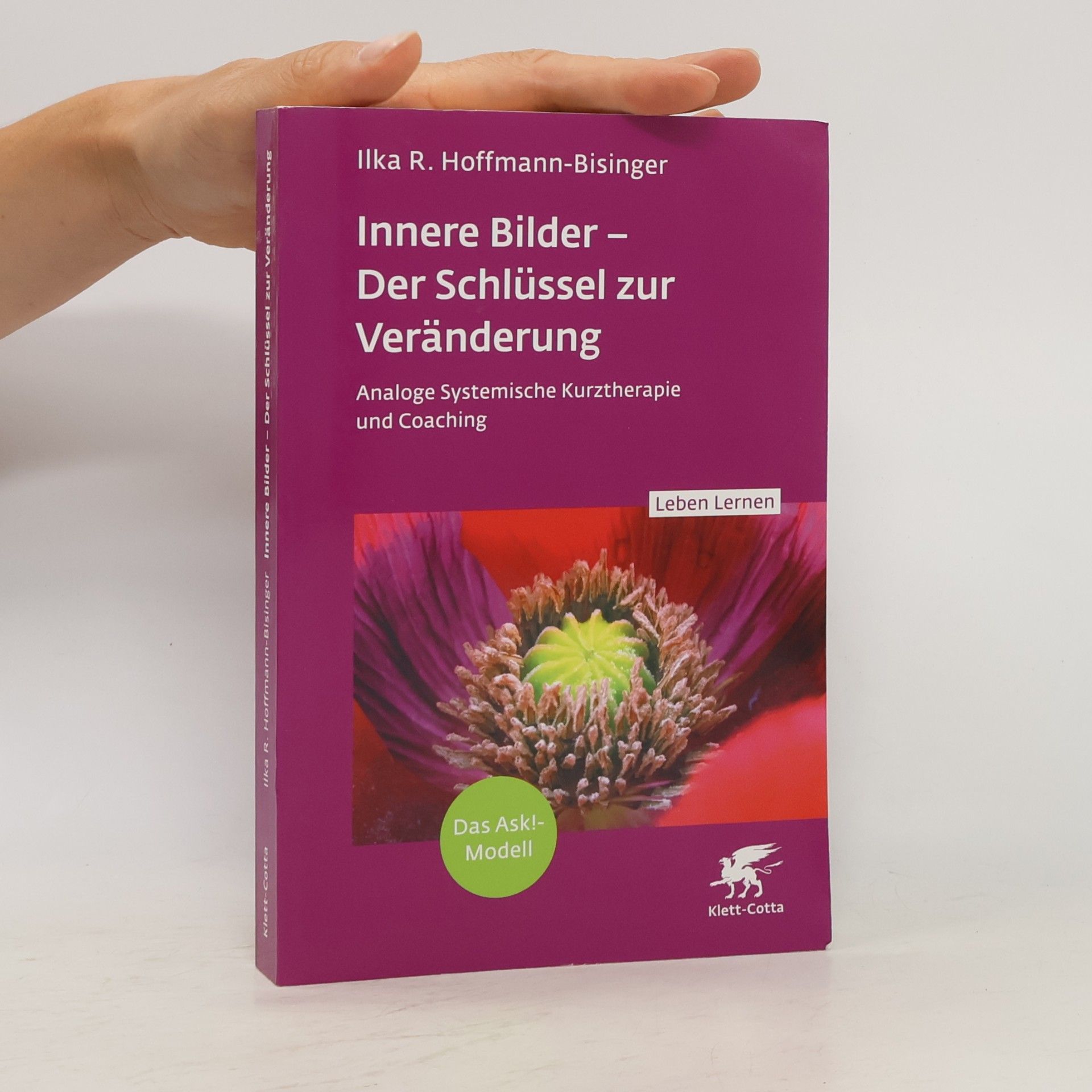 Leben Lernen - 343: Innere Bilder – Der Schlüssel zur Veränderung