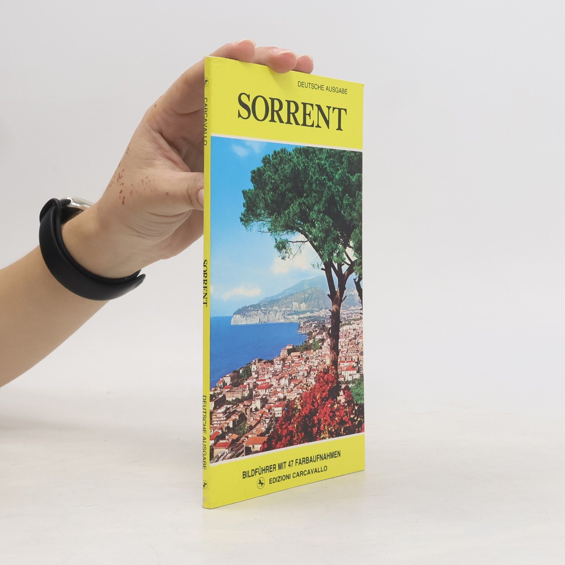 Autorenkollektiv Sorrent
