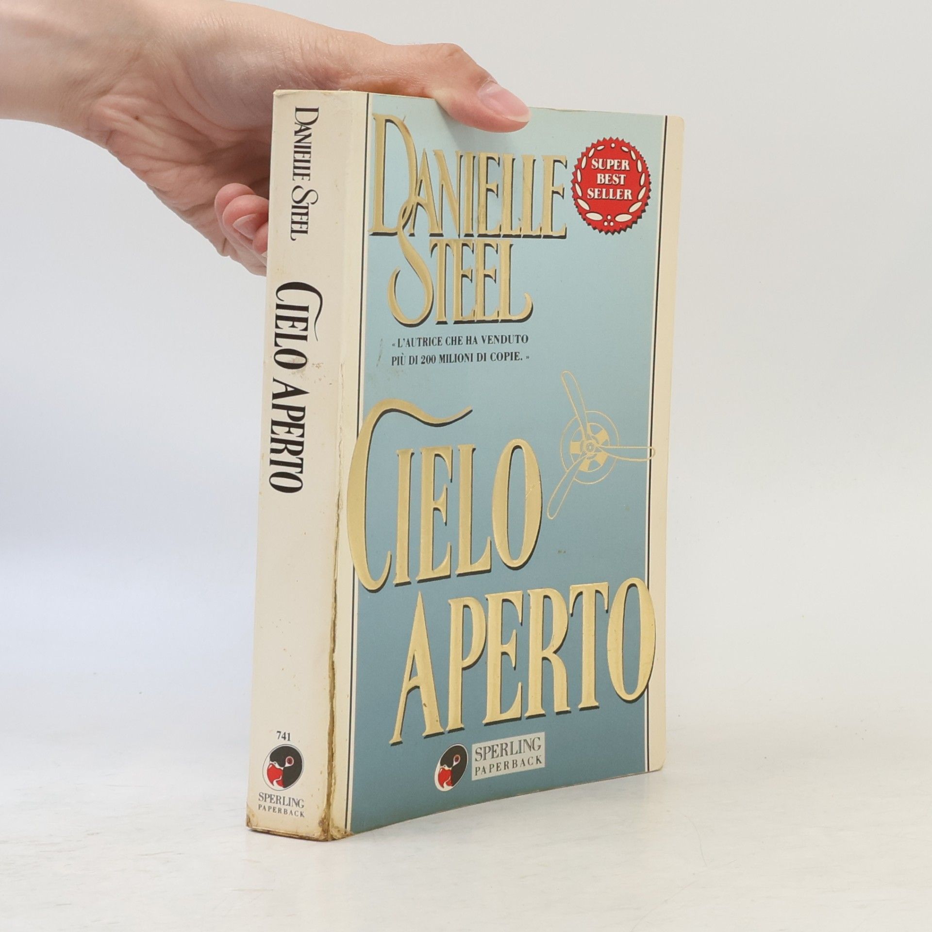 Danielle Steel Cielo aperto