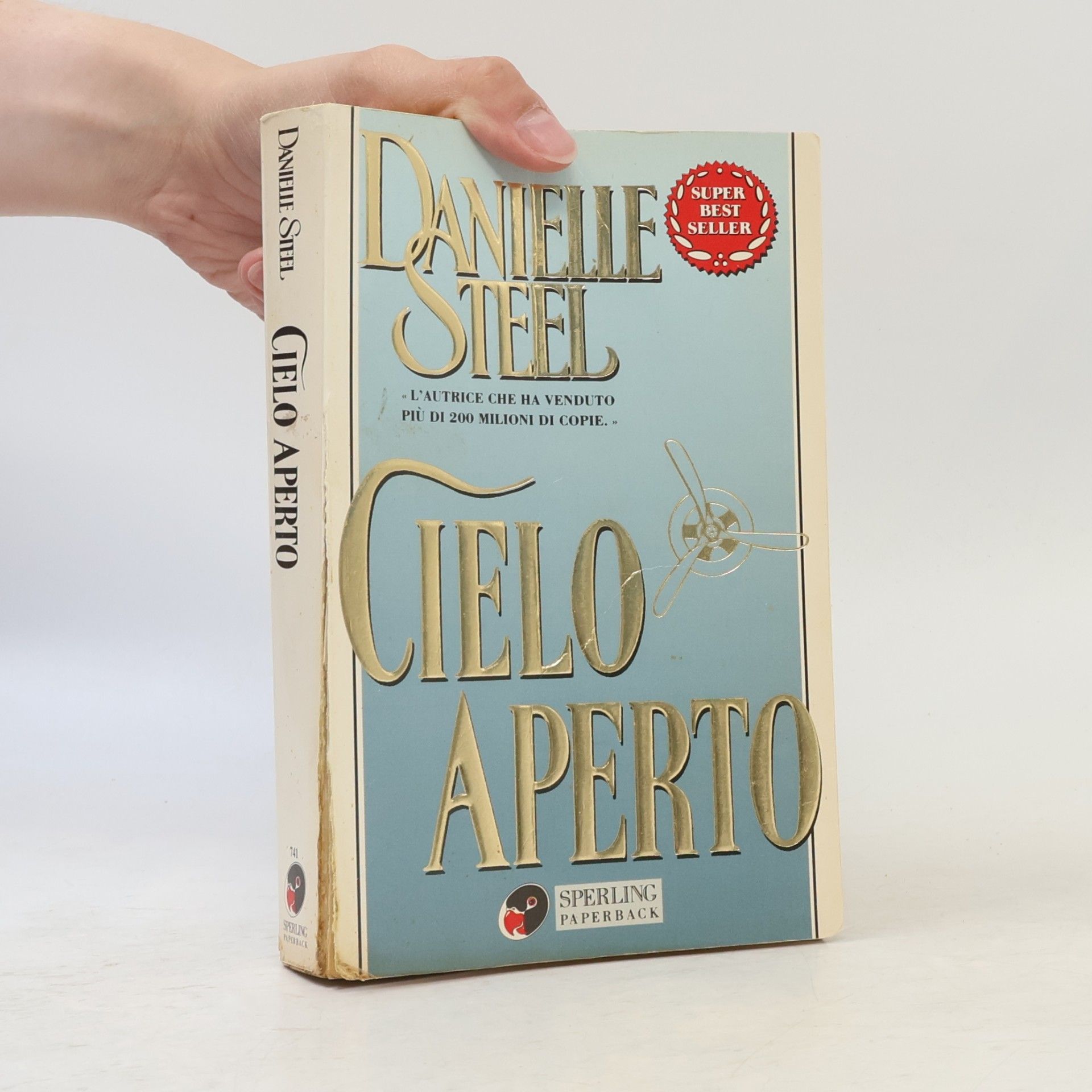 Danielle Steel Cielo aperto