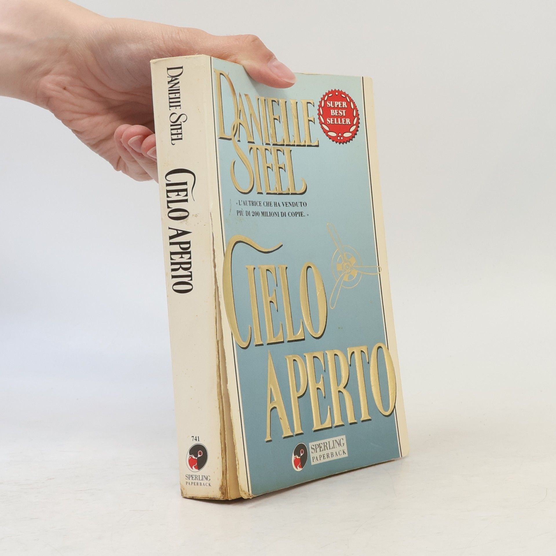 Danielle Steel Cielo aperto