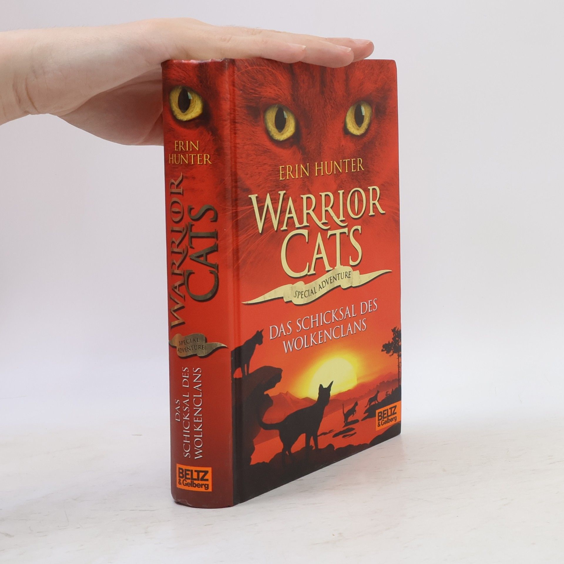 Erin Hunter Warrior Cats: Das Schicksal des WolkenClans