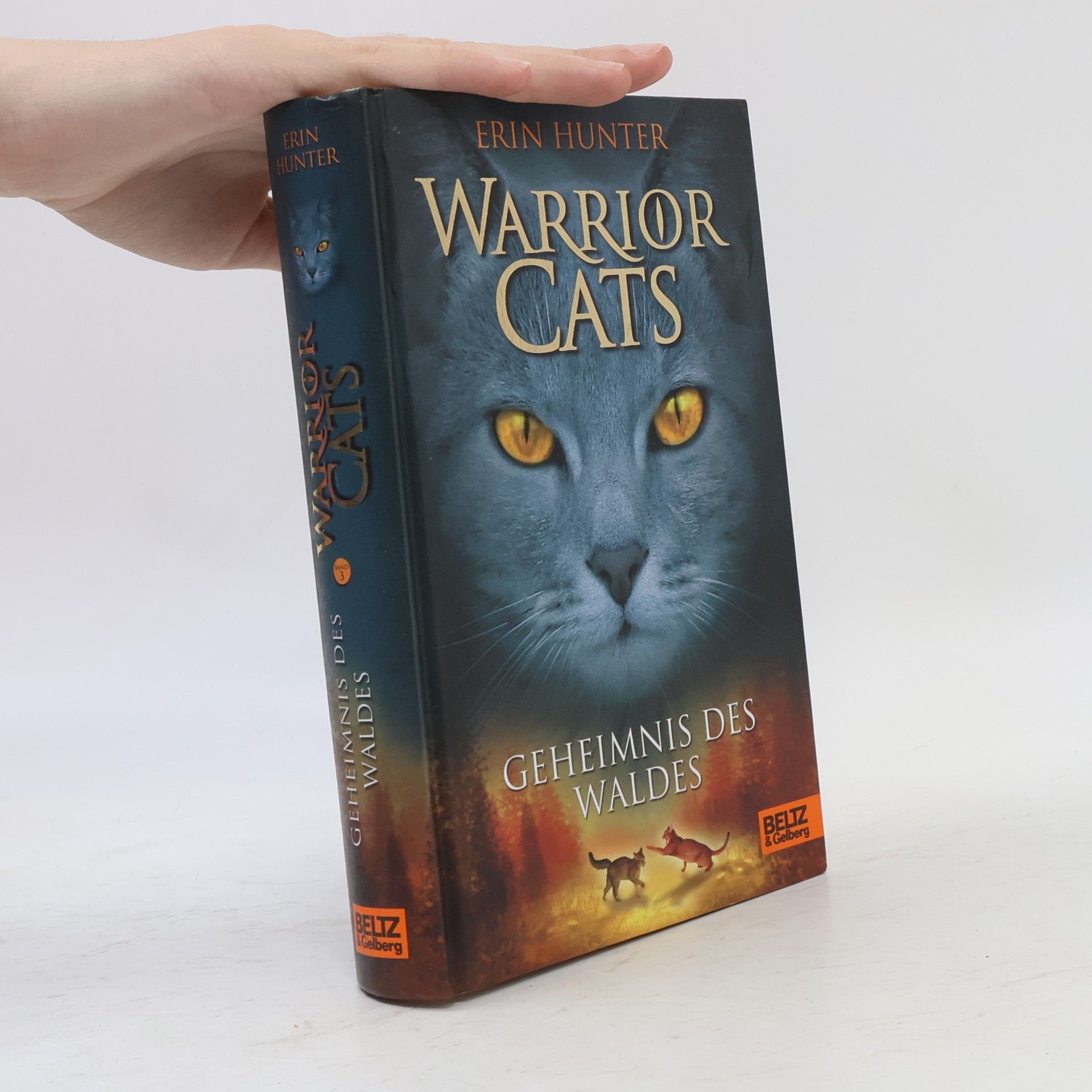 Erin Hunter Warrior Cats. Geheimnis des Waldes.