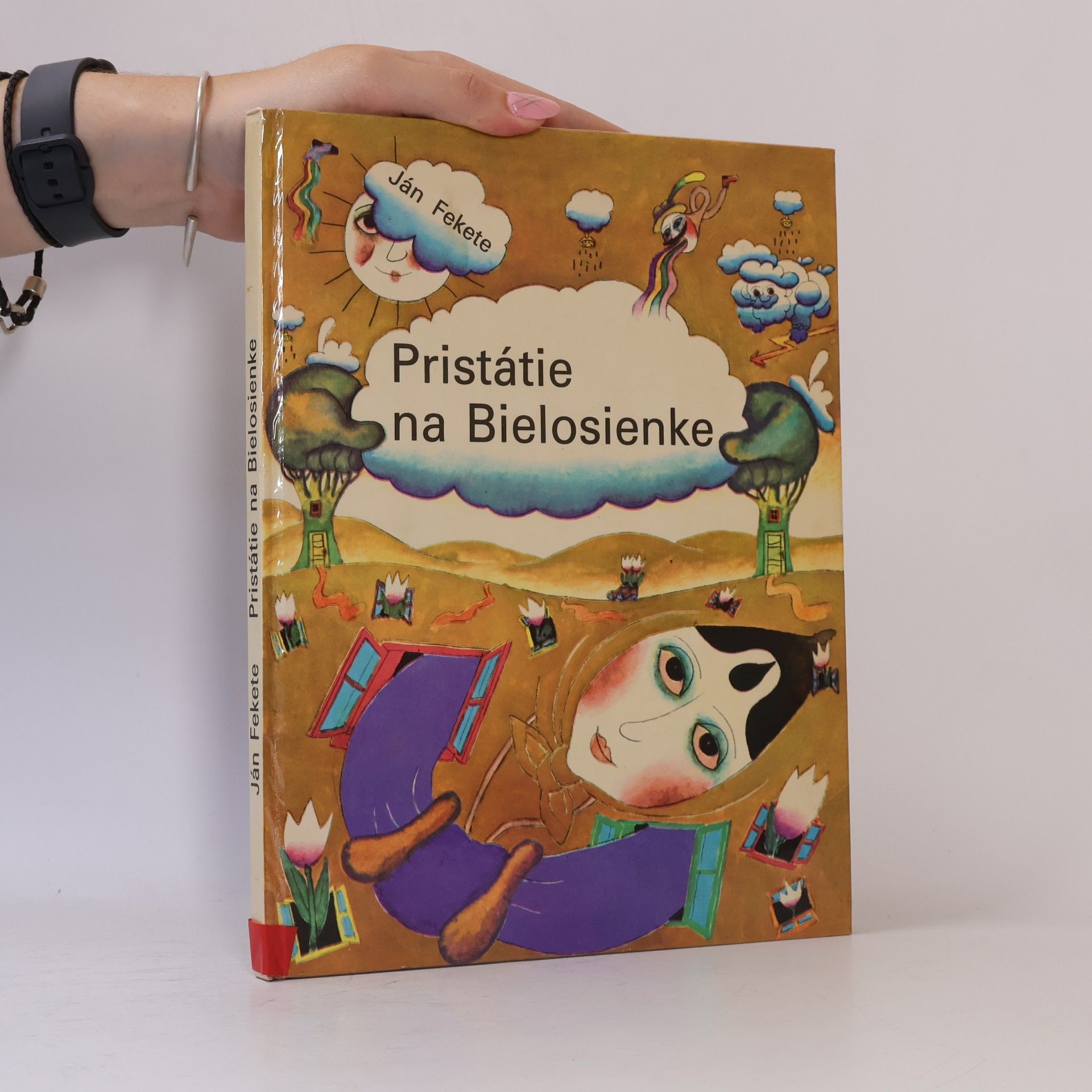 Ján Fekete Pristátie na Bielosienke