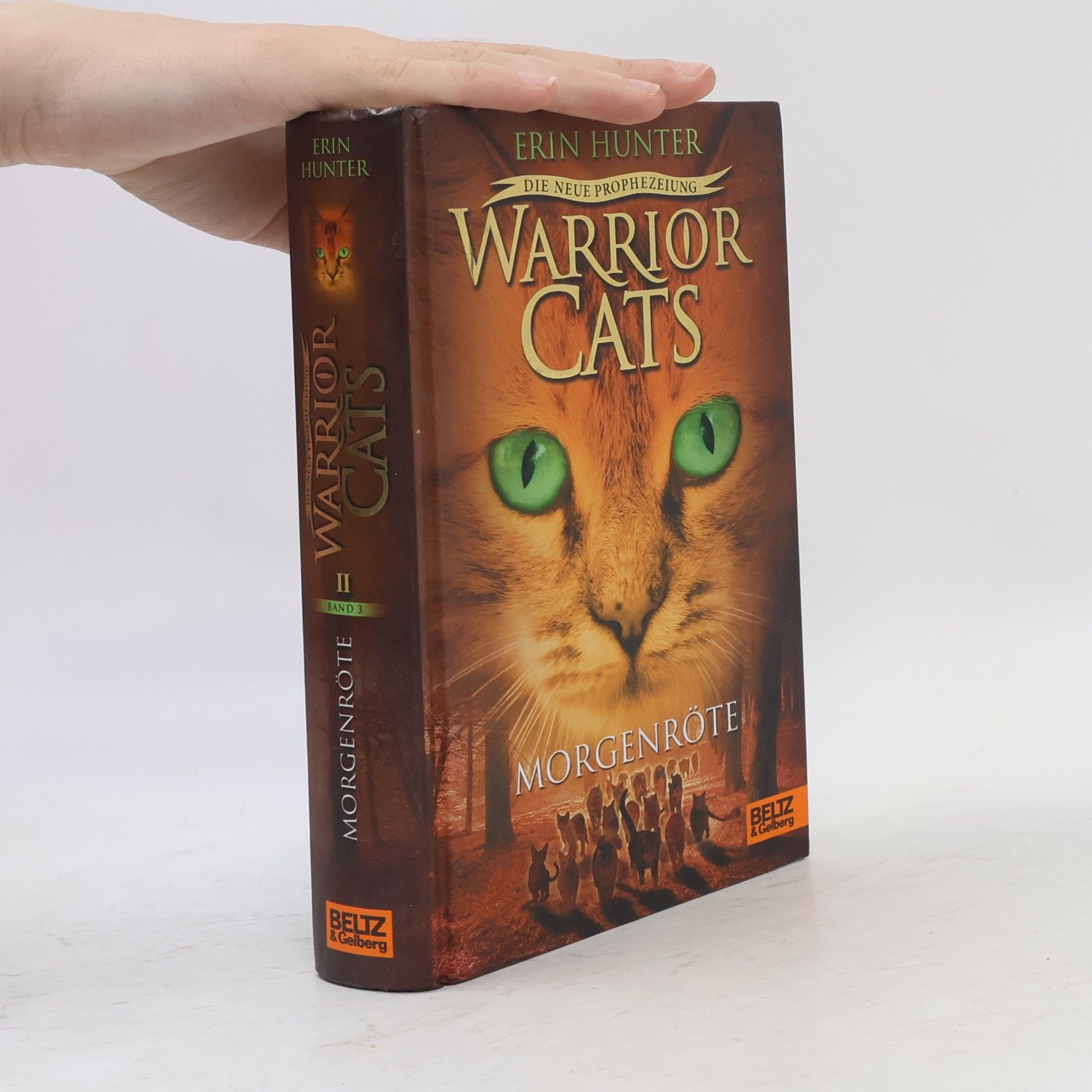 Erin Hunter Warrior Cats - Morgenröte