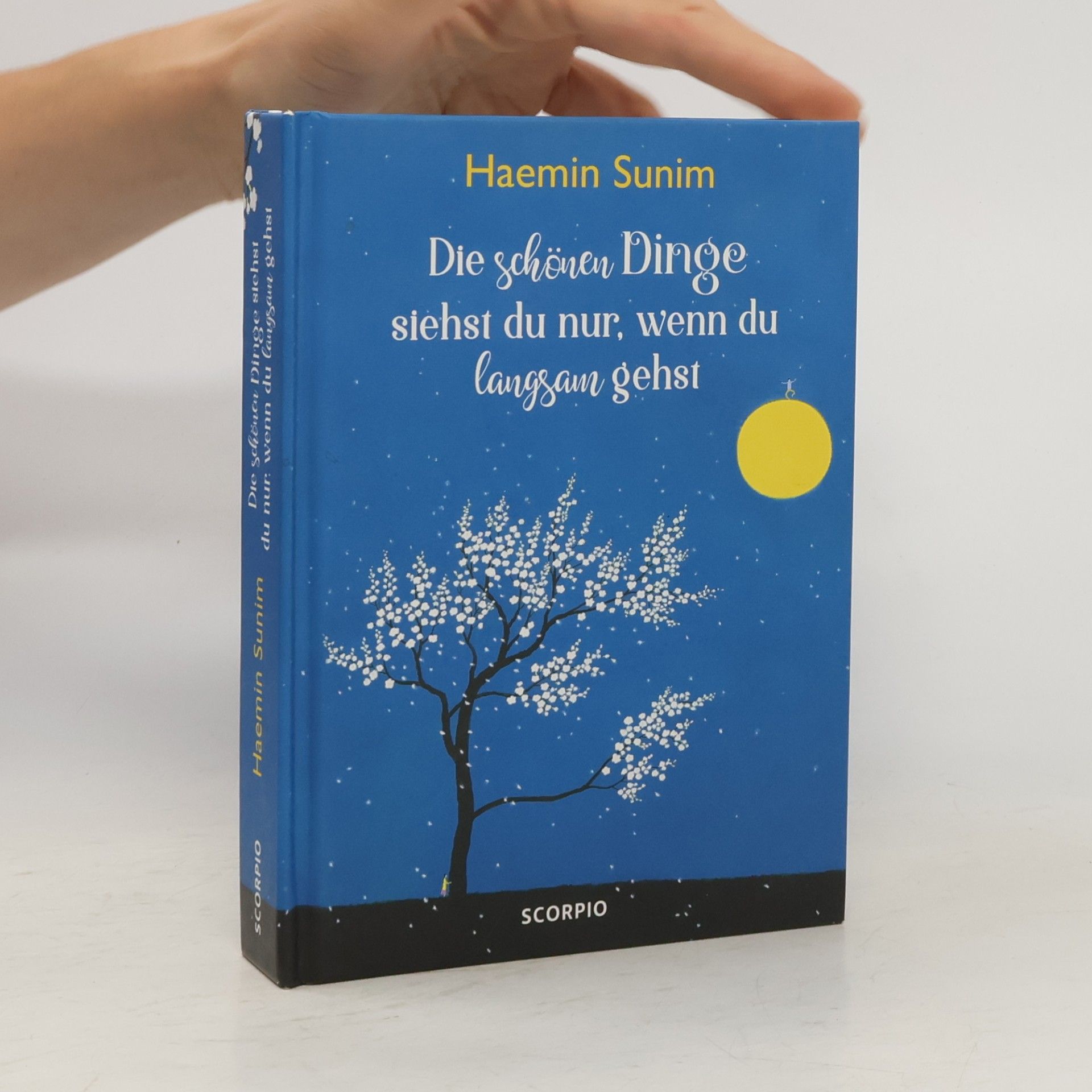 Haemin Die schönen Dinge siehst du nur, wenn du langsam gehst