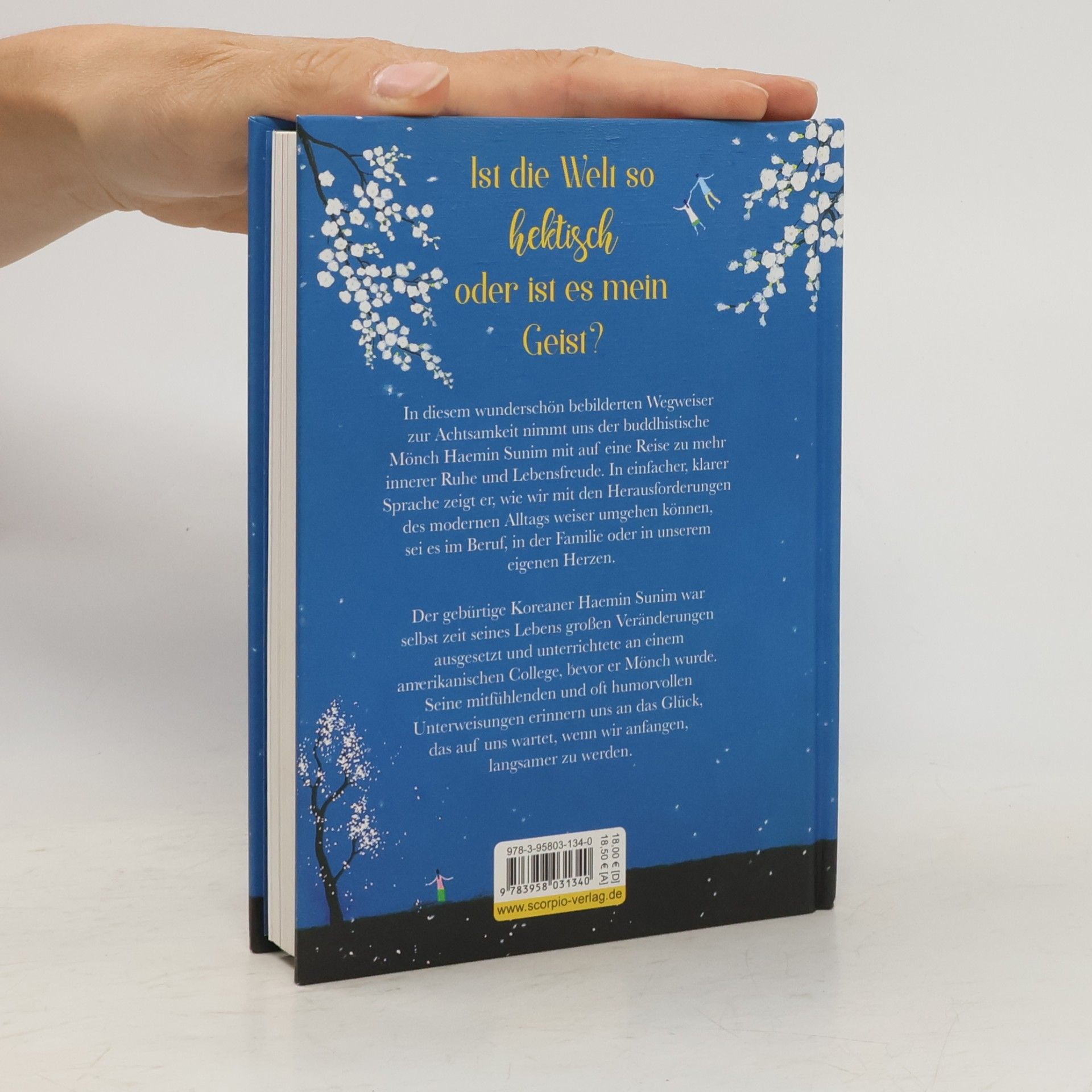 Haemin Die schönen Dinge siehst du nur, wenn du langsam gehst