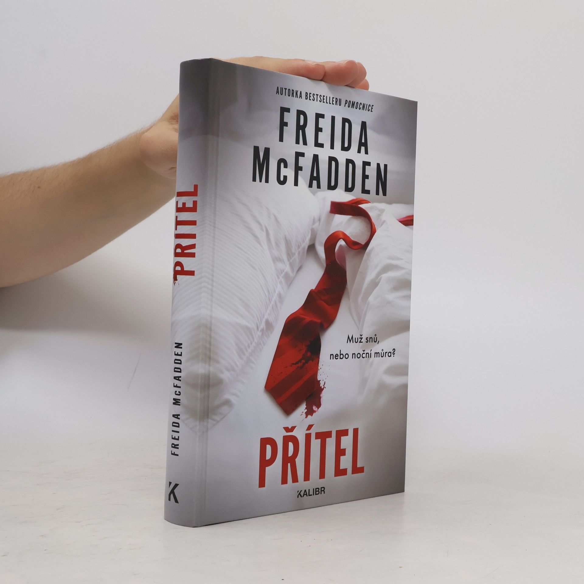 Freida McFadden Přítel