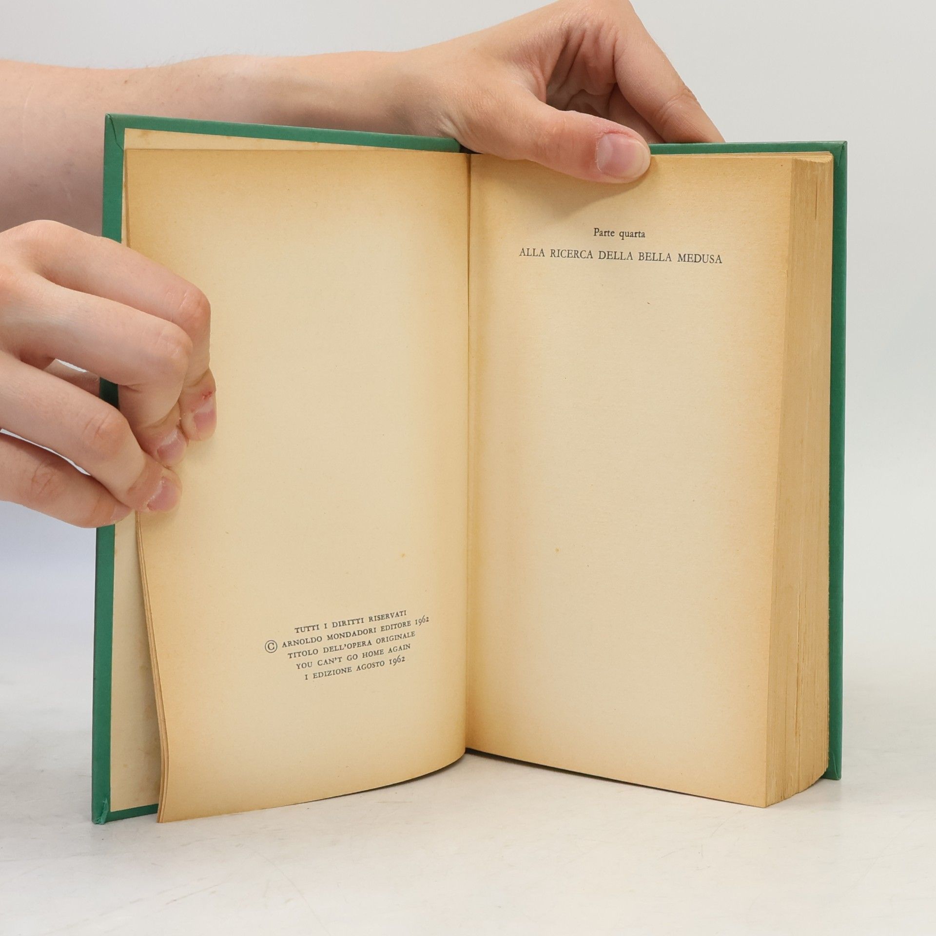 Thomas Wolfe Non puoi tornare a casa