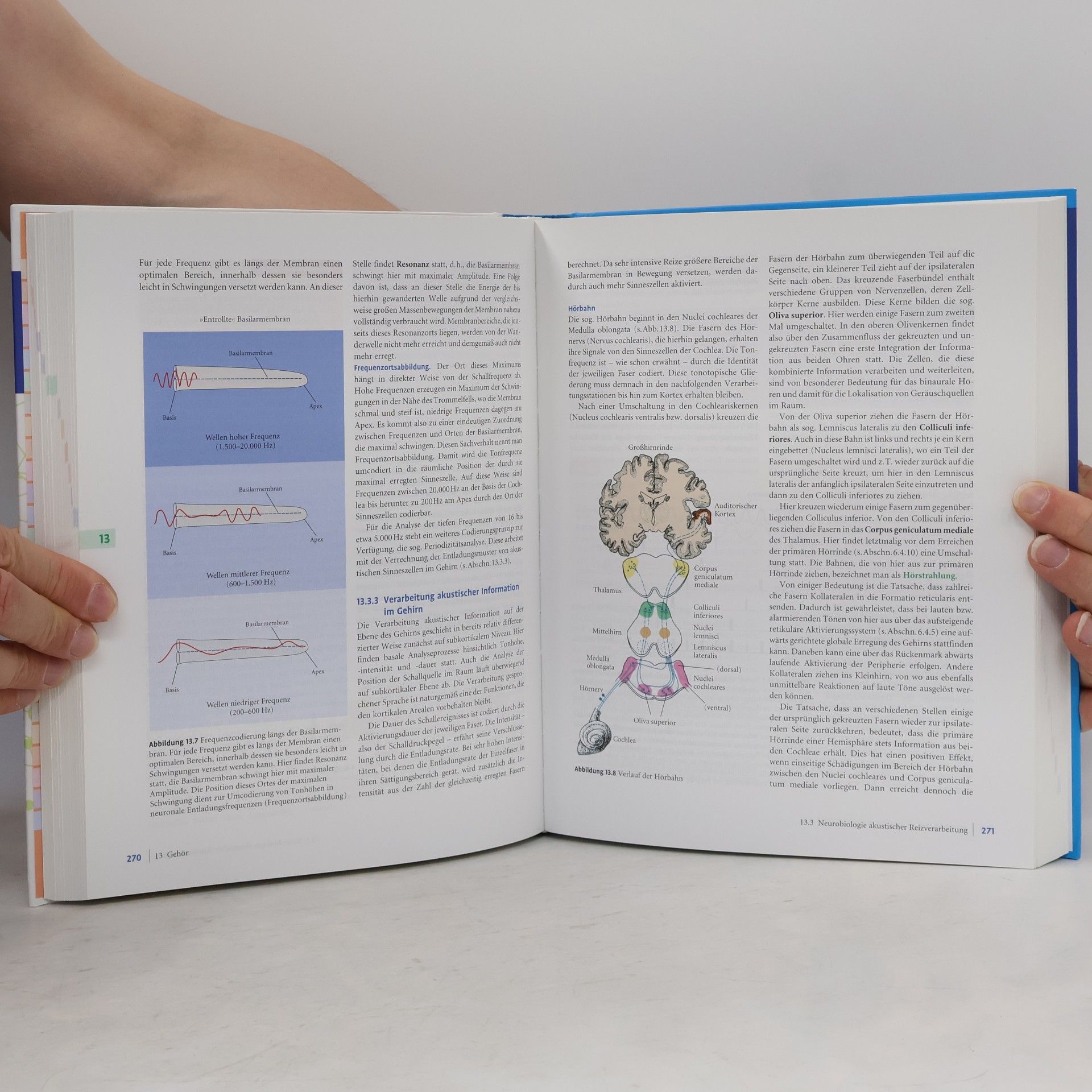 Rainer Schandry Biologische Psychologie