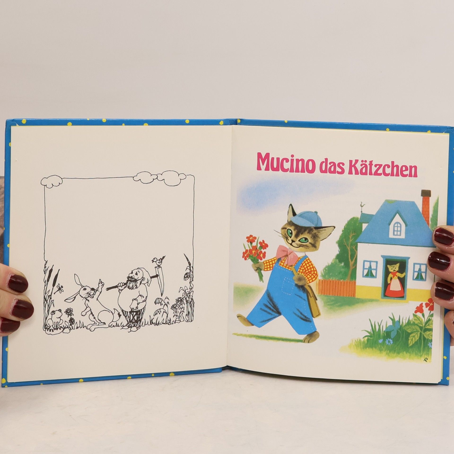 Autorenkollektiv Mucino-das Kätzchen