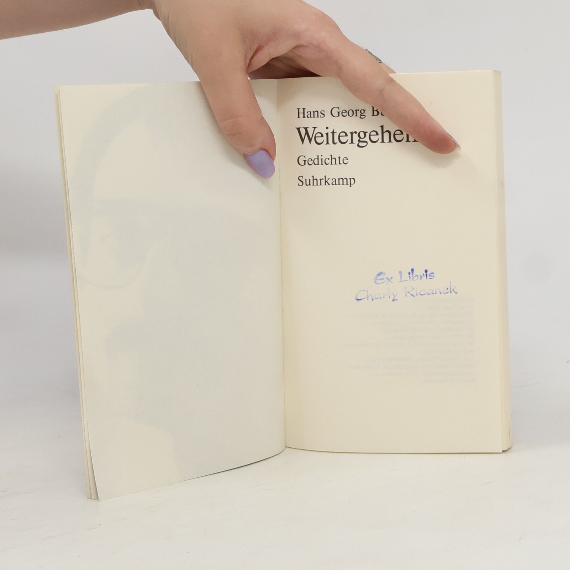 Hans Georg Bulla Weitergehen. Neue Folge Band 2