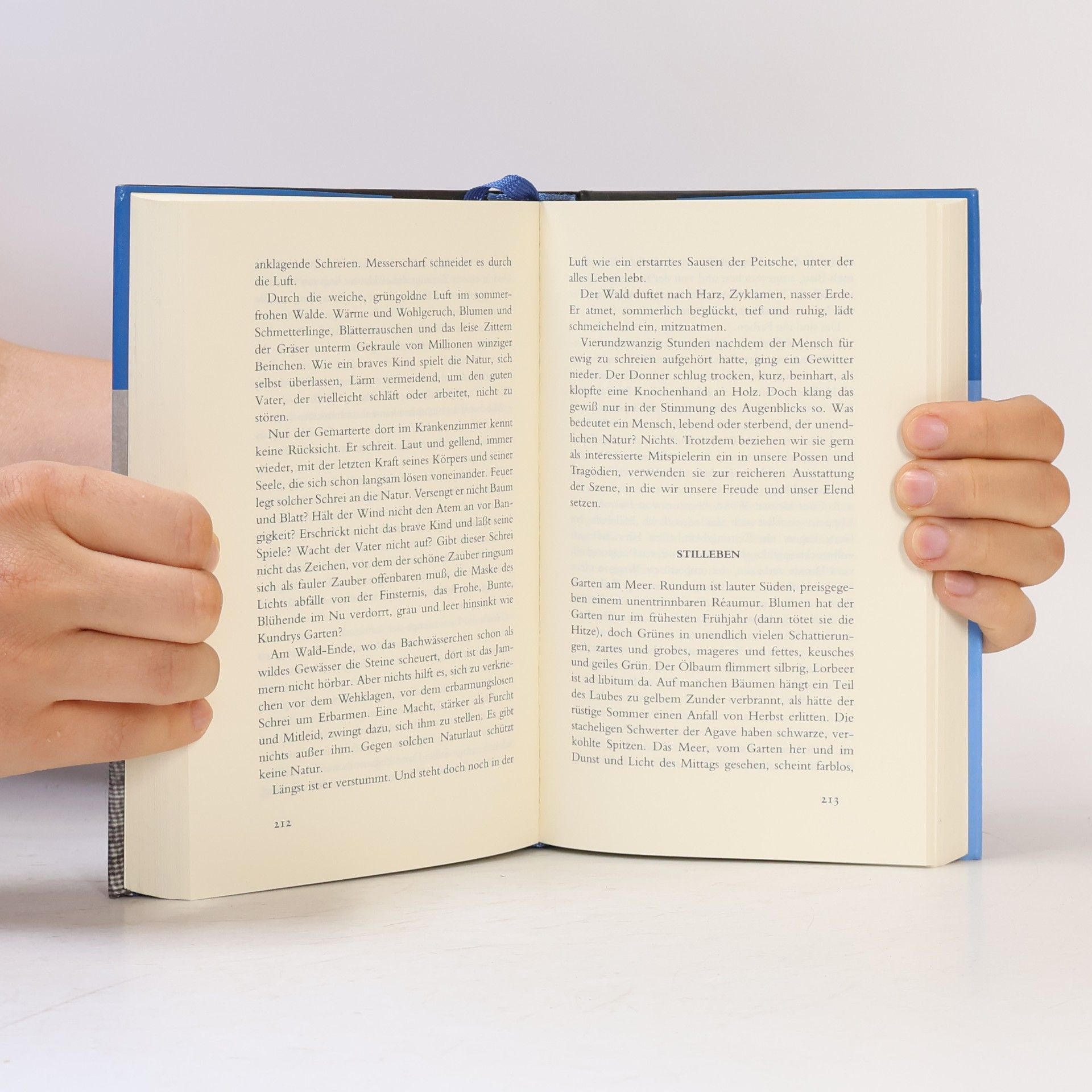 Alfred Polgar Das große Lesebuch