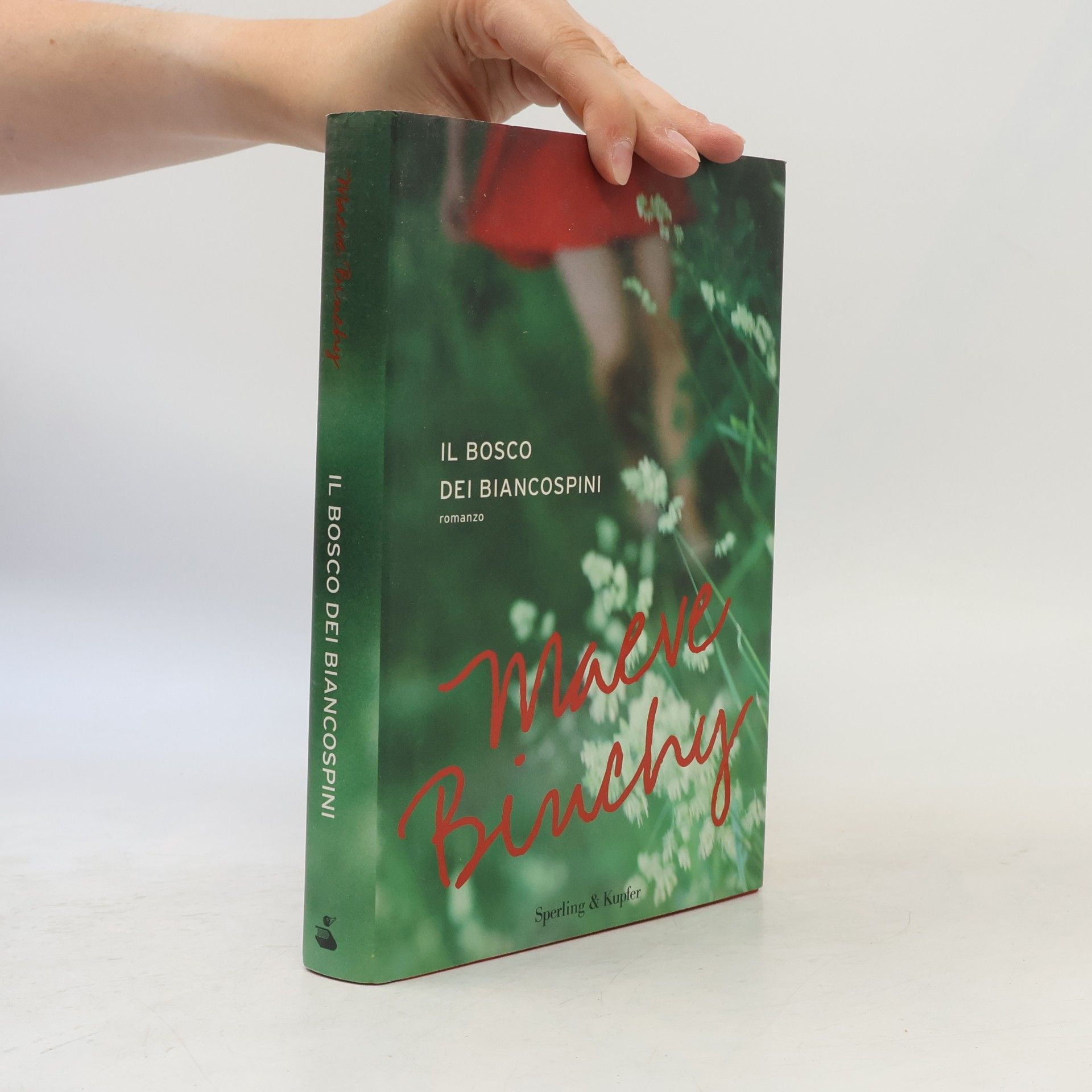 Maeve Binchy Pandora - 1027: Il bosco dei biancospini