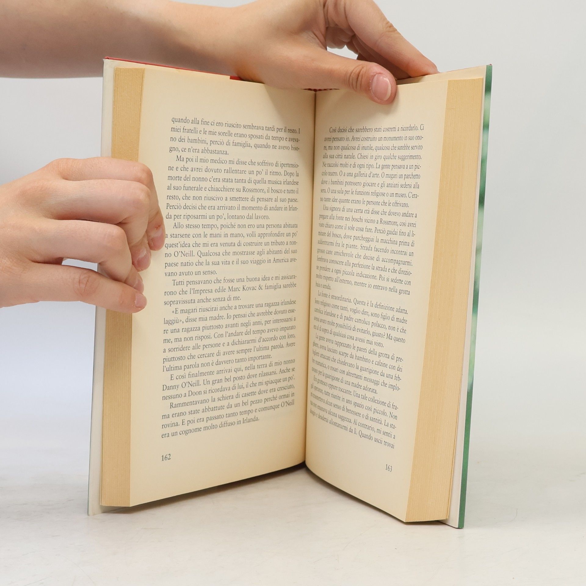Maeve Binchy Pandora - 1027: Il bosco dei biancospini