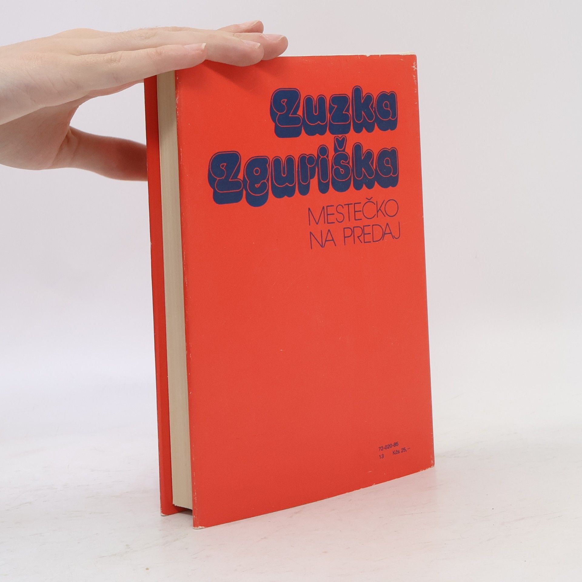 Zuzka Zguriška Mestečko na predaj 4