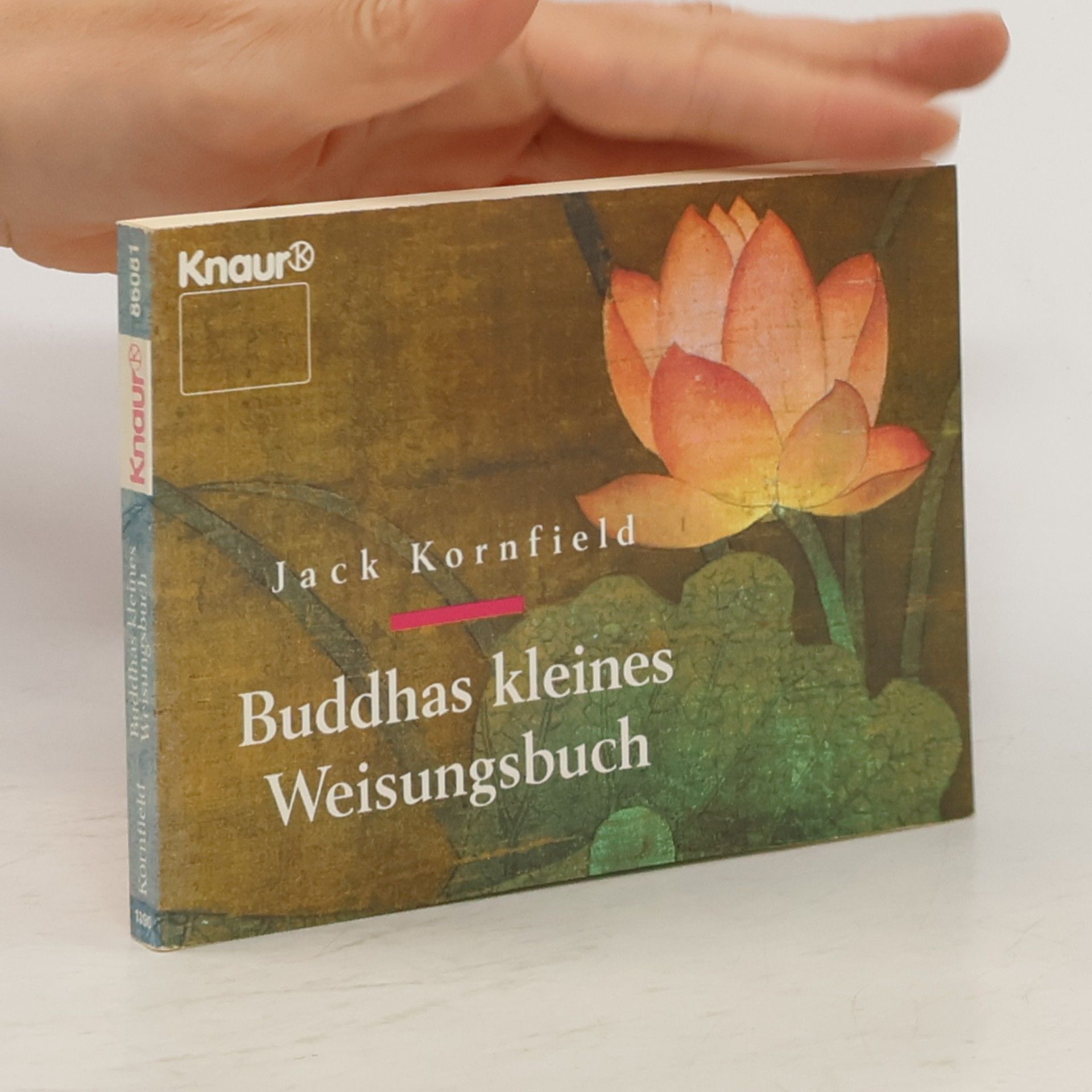 Jack Kornfield Buddhas kleines Weisungsbuch