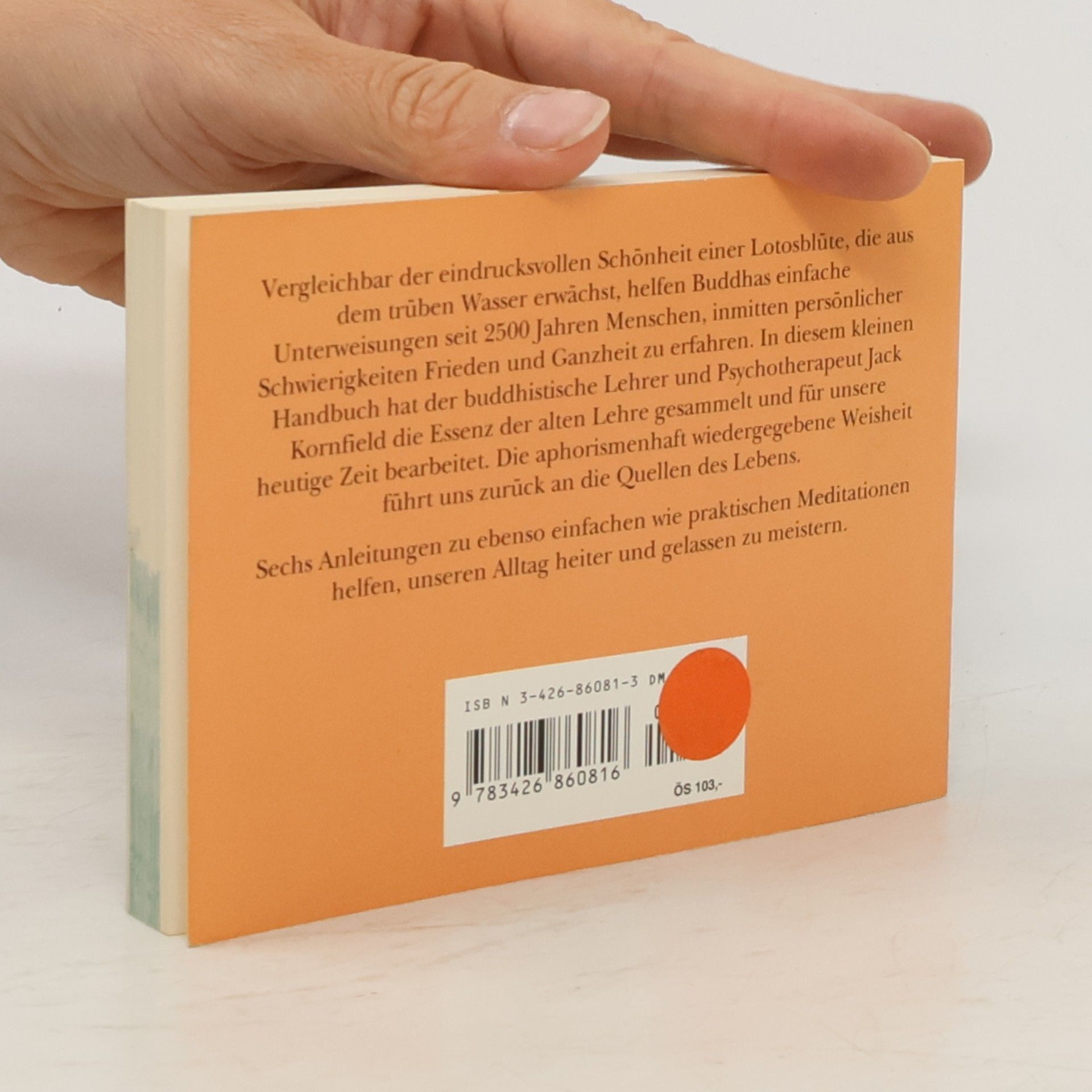 Jack Kornfield Buddhas kleines Weisungsbuch