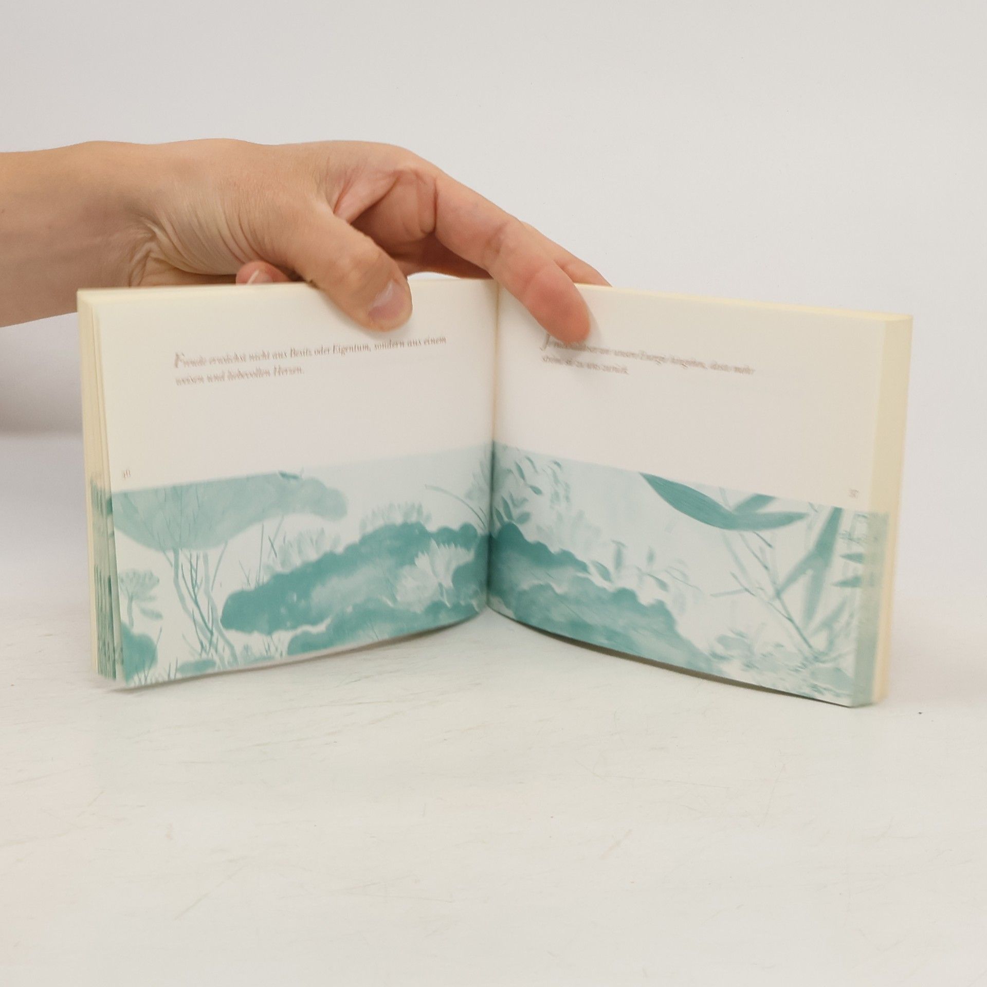 Jack Kornfield Buddhas kleines Weisungsbuch