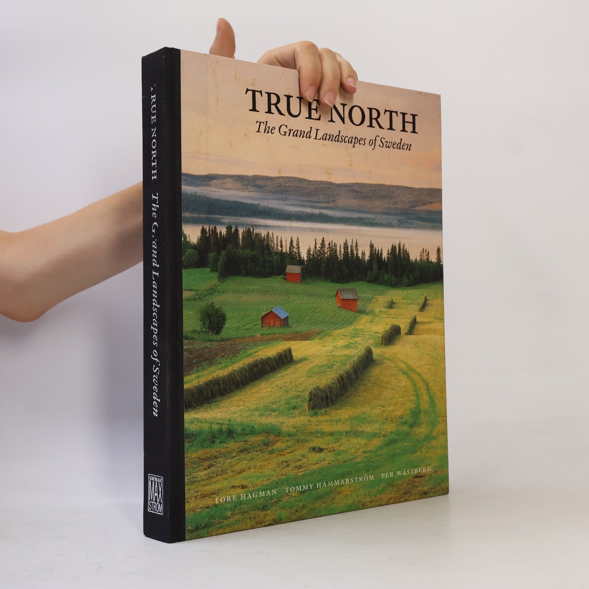 True North