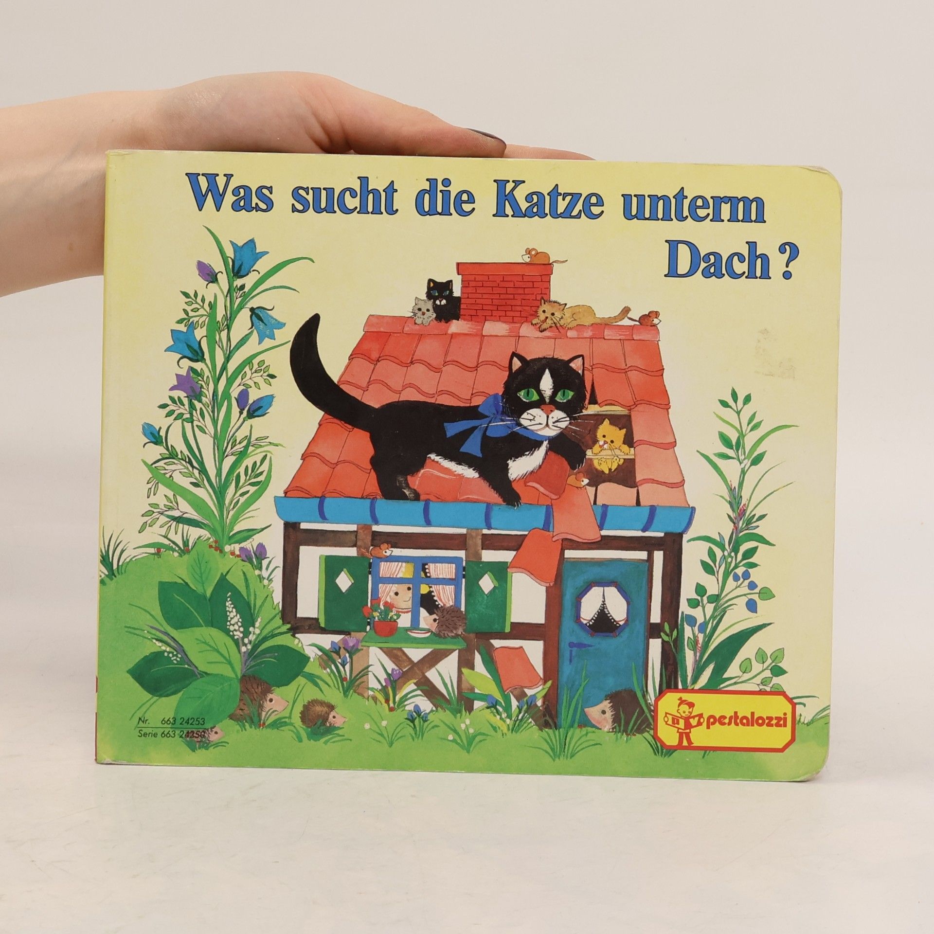 Etna Was sucht die Katze unterm Dach?
