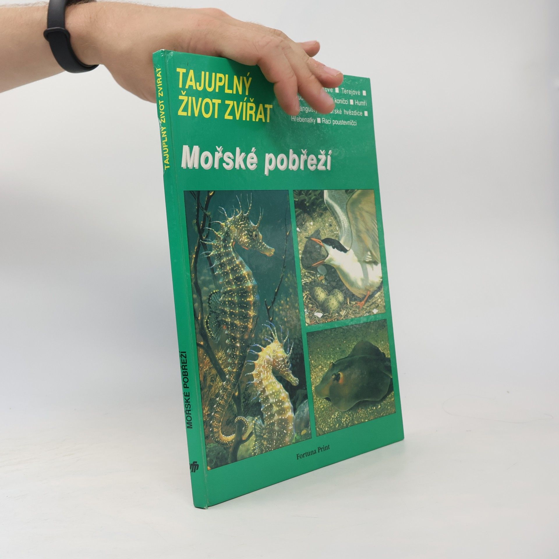 Charles Roux Tajuplný život zvířat: Mořské pobřeží