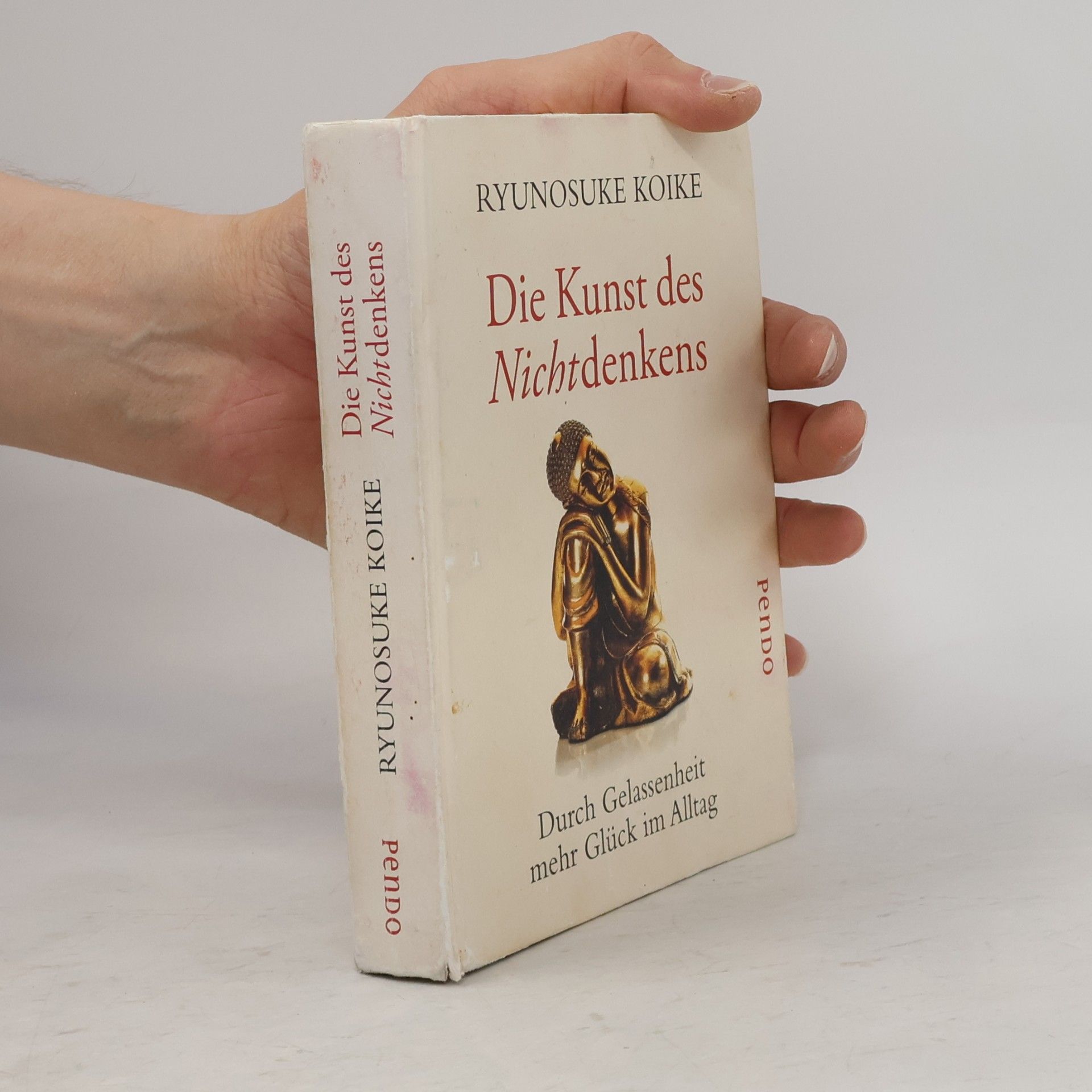 Nora Bierich Die Kunst des Nichtdenkens