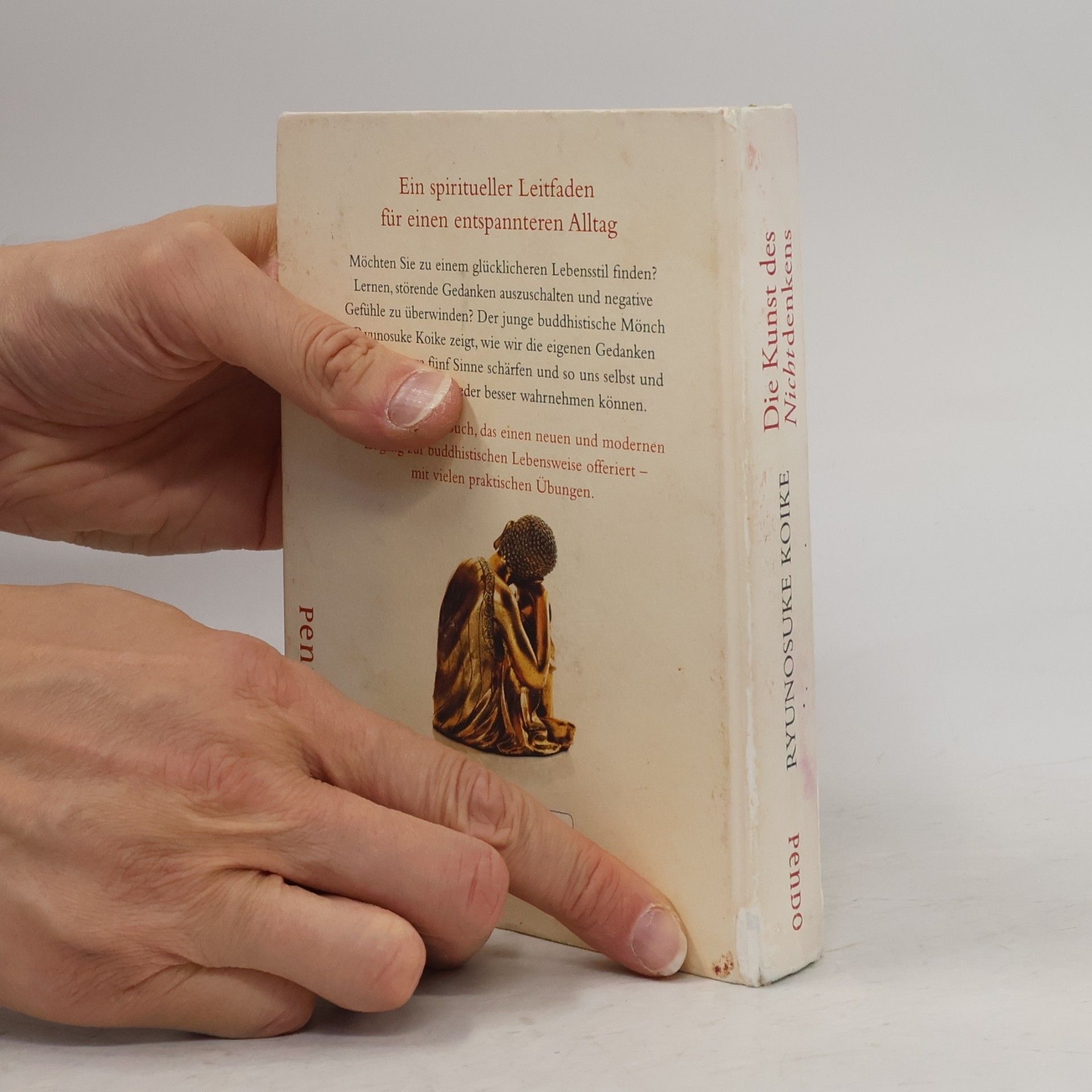 Nora Bierich Die Kunst des Nichtdenkens