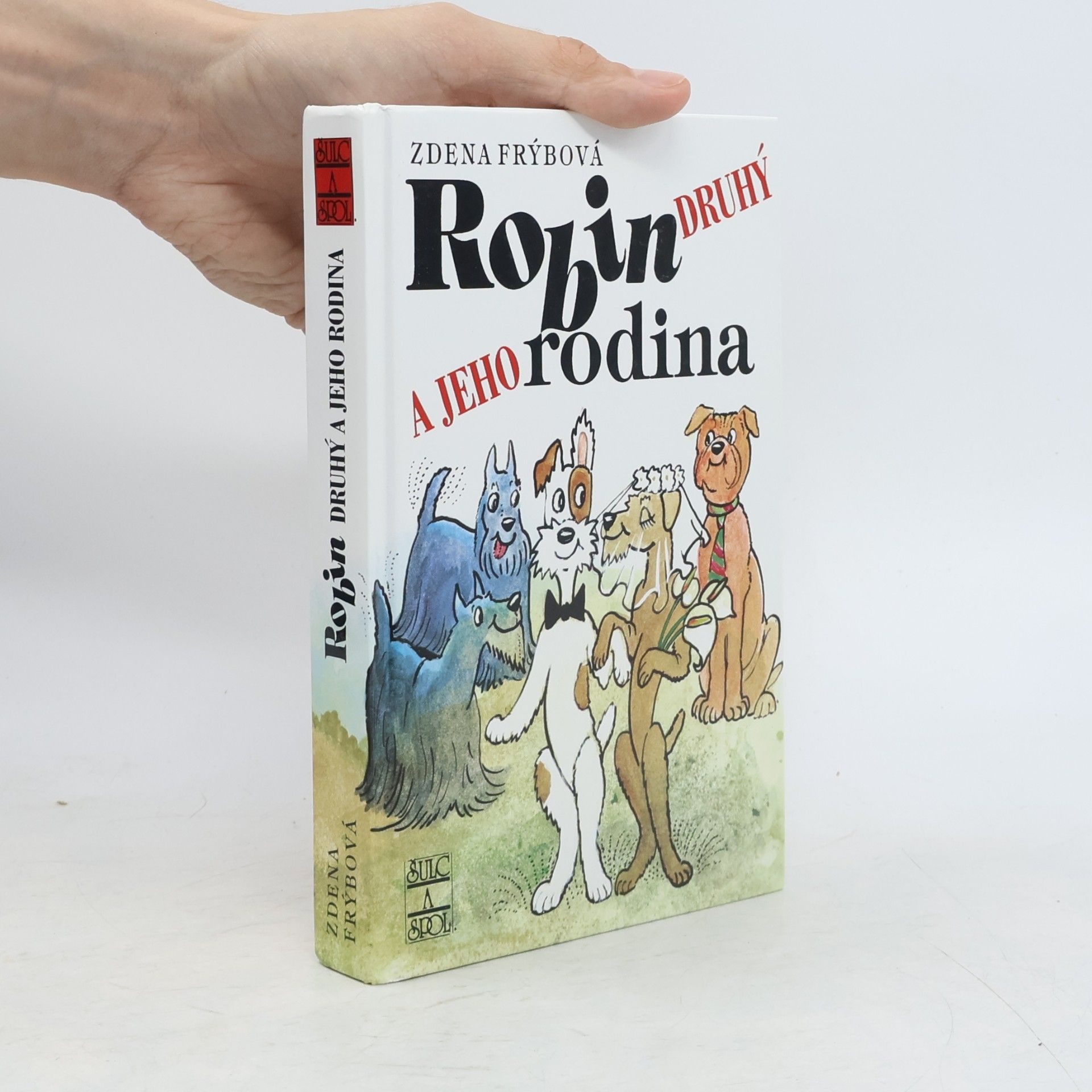 Robin Druhý a jeho rodina