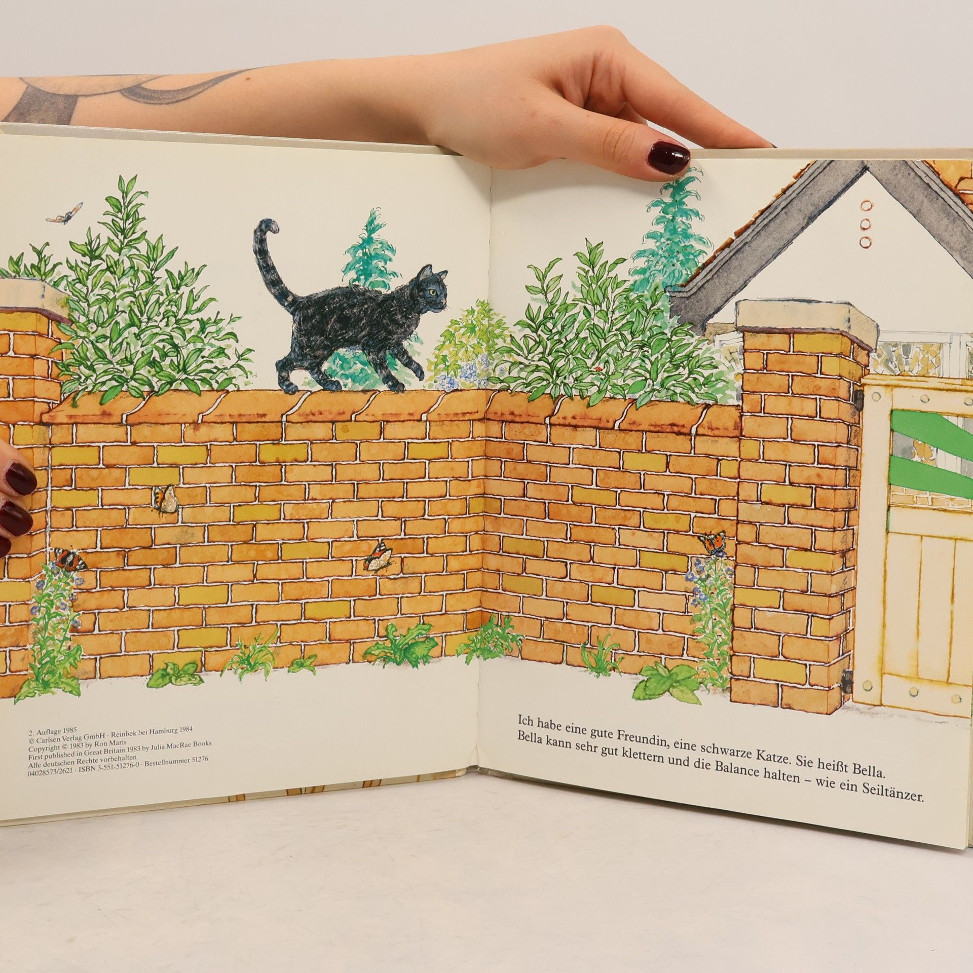 Ron Maris Reinbeker Kinderbücher: Eine Gutenachtgeschichte