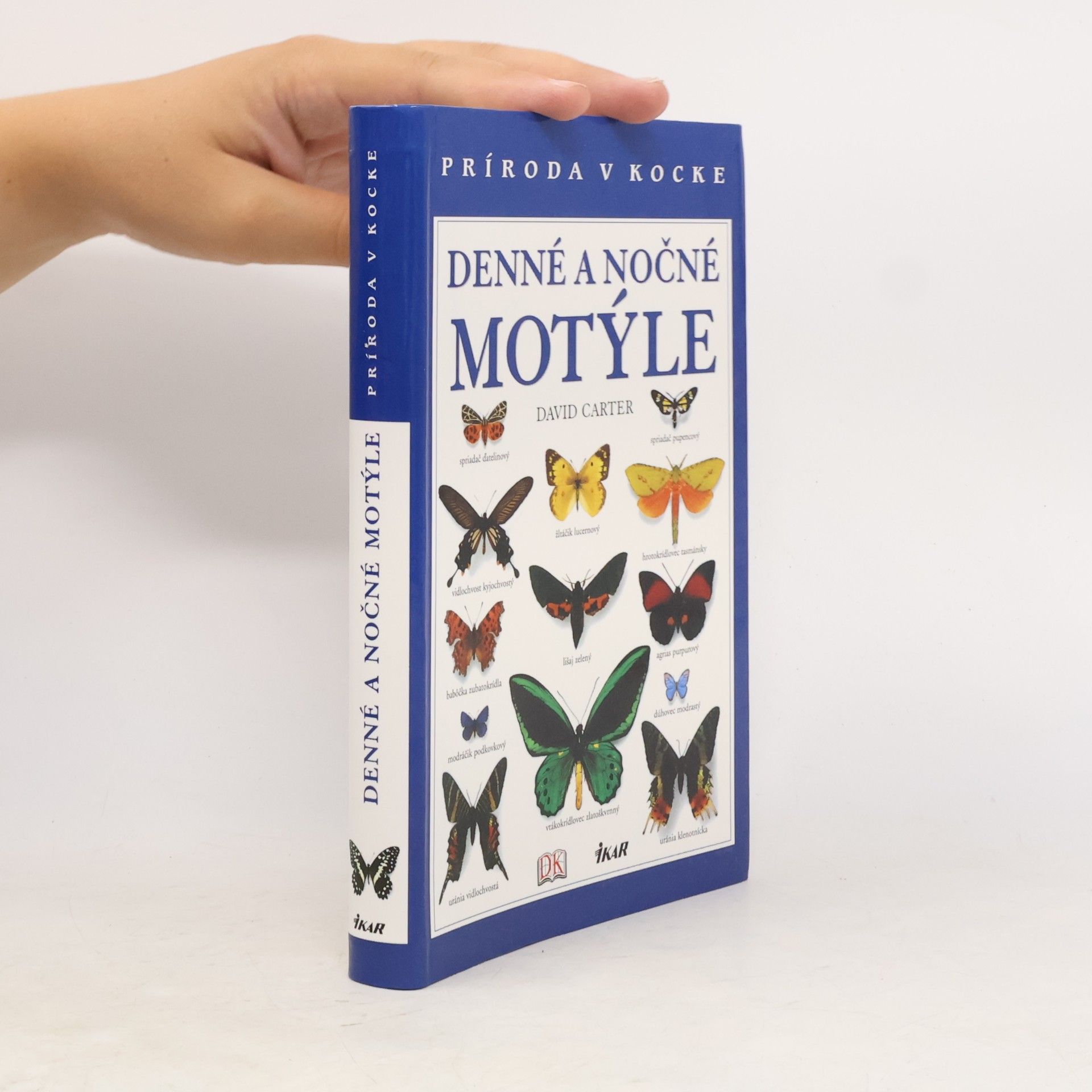Denné a nočné motýle