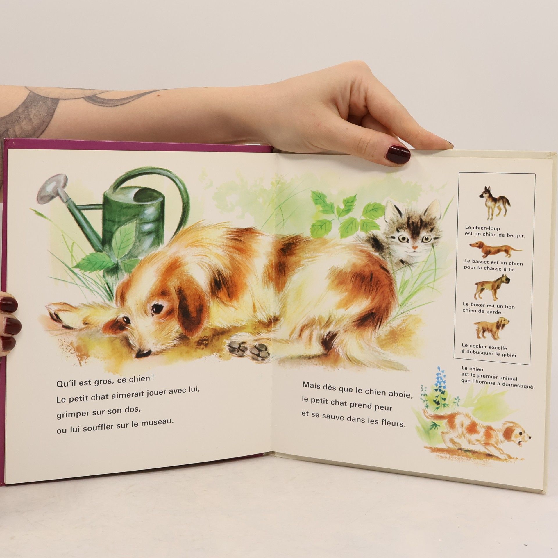 Collectif d'auteurs Le petit chat et les amis du jardin