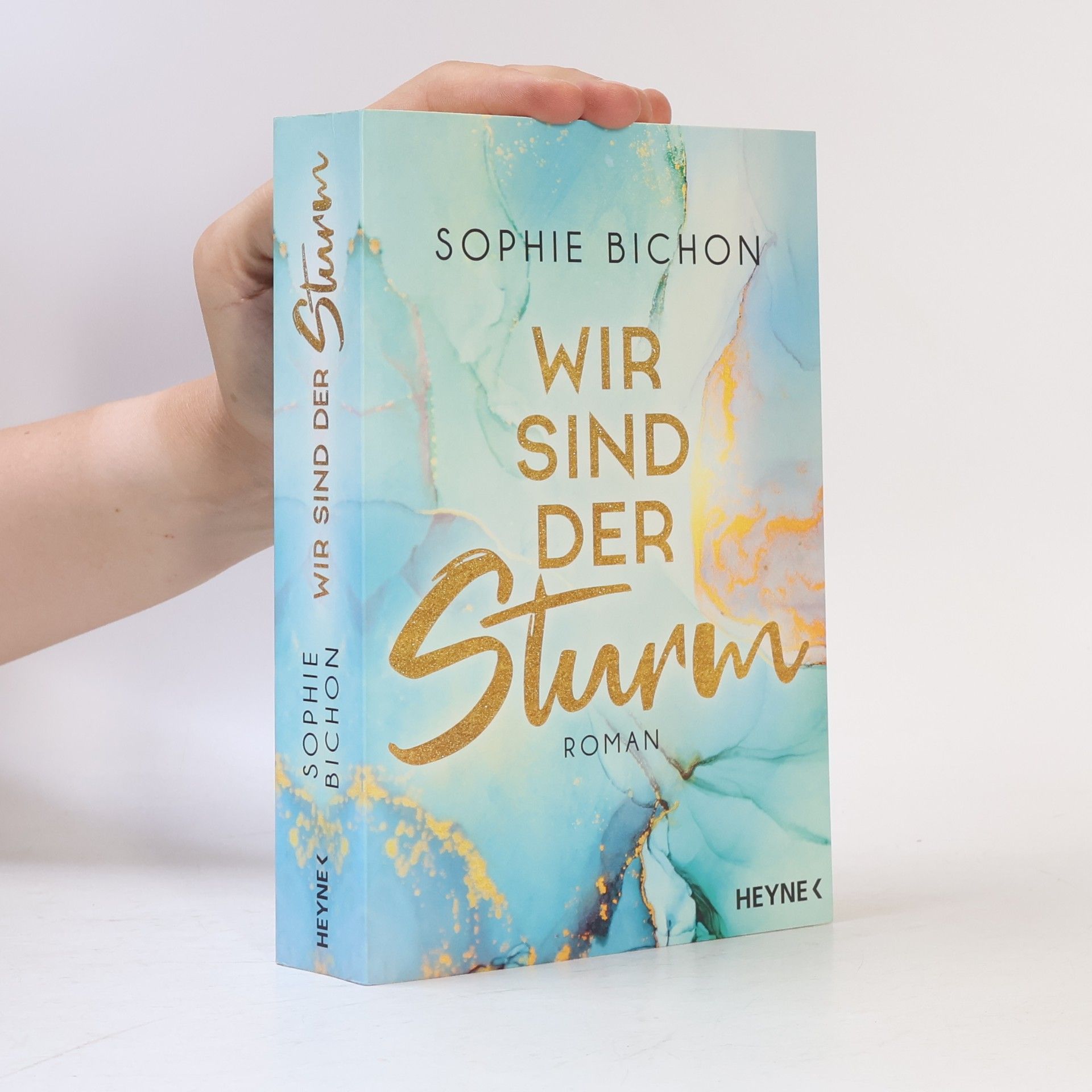 Sophie Bichon Redstone-Reihe 2. Wir sind der Sturm