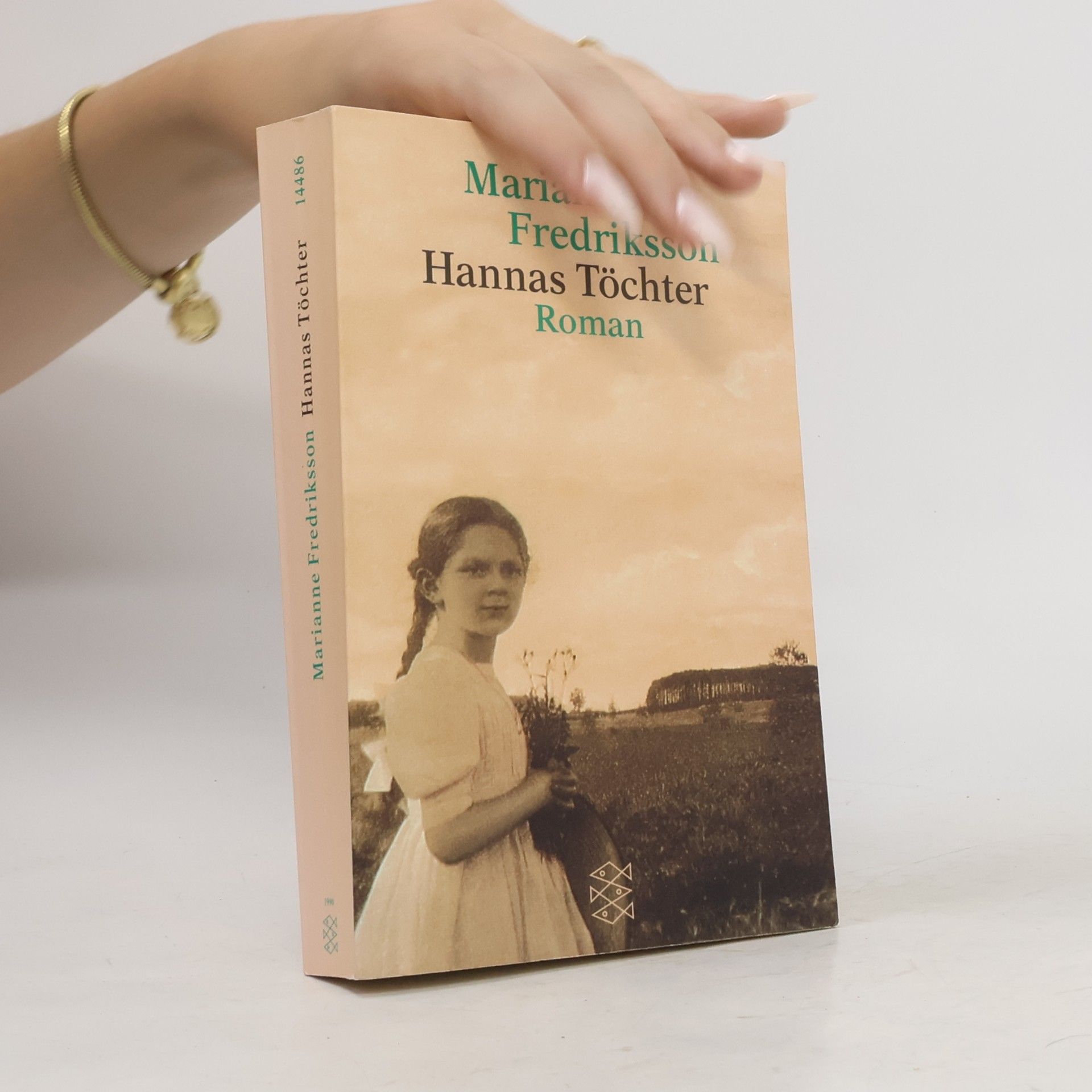 Marianne Fredriksson Hannas Töchter
