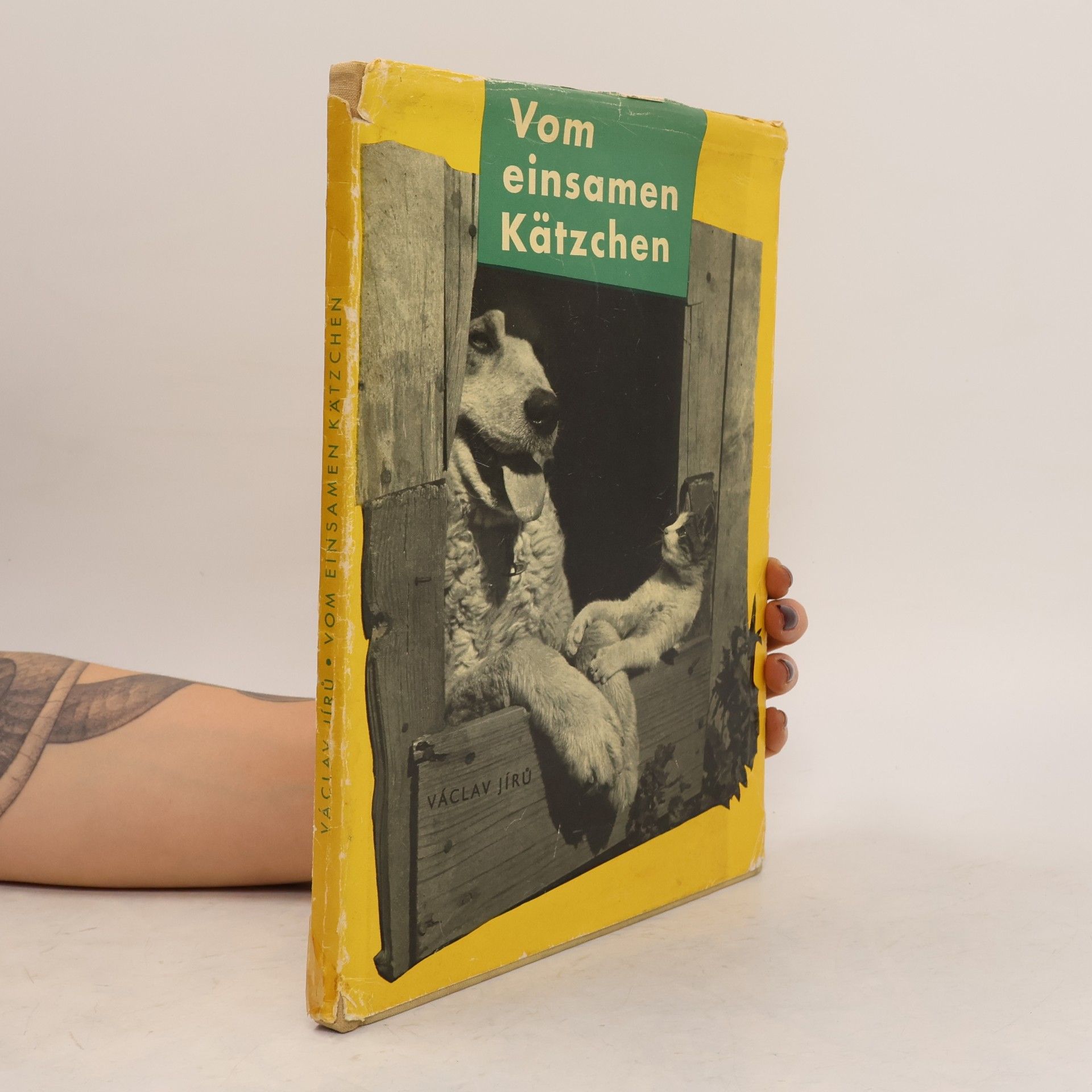 Lotte Elsnerová Vom einsamen Kätzchen