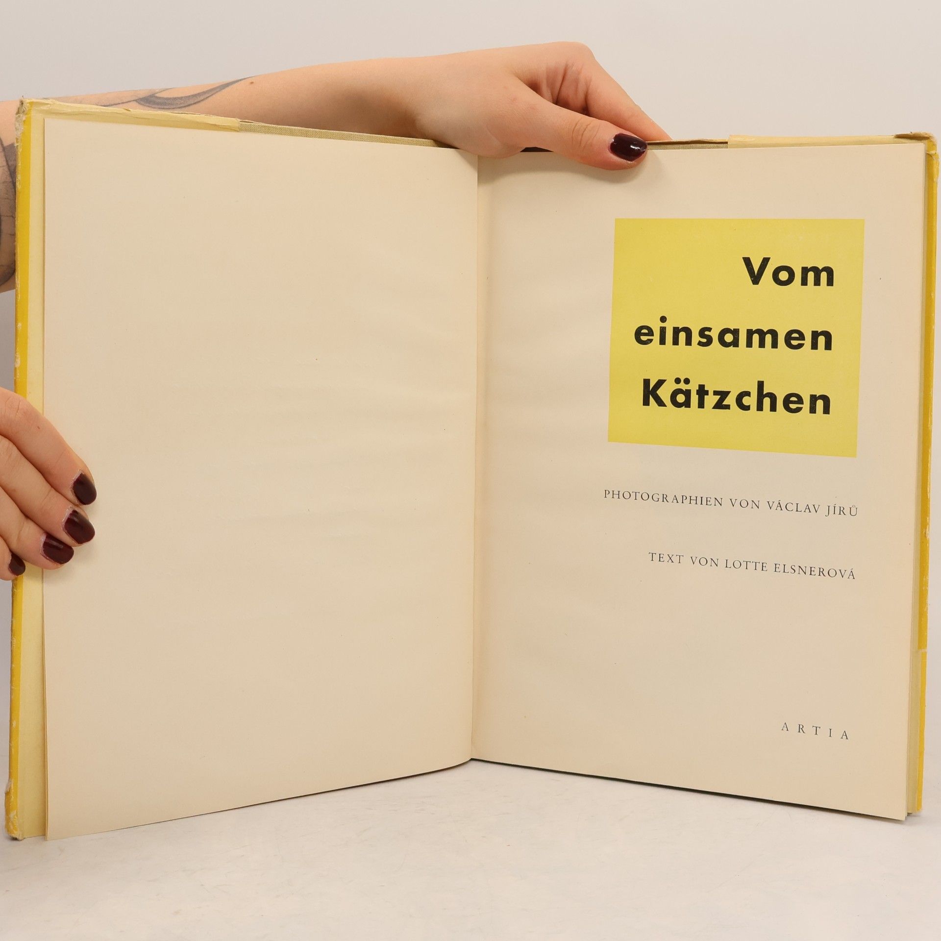Václav Jírů Vom einsamen Kätzchen