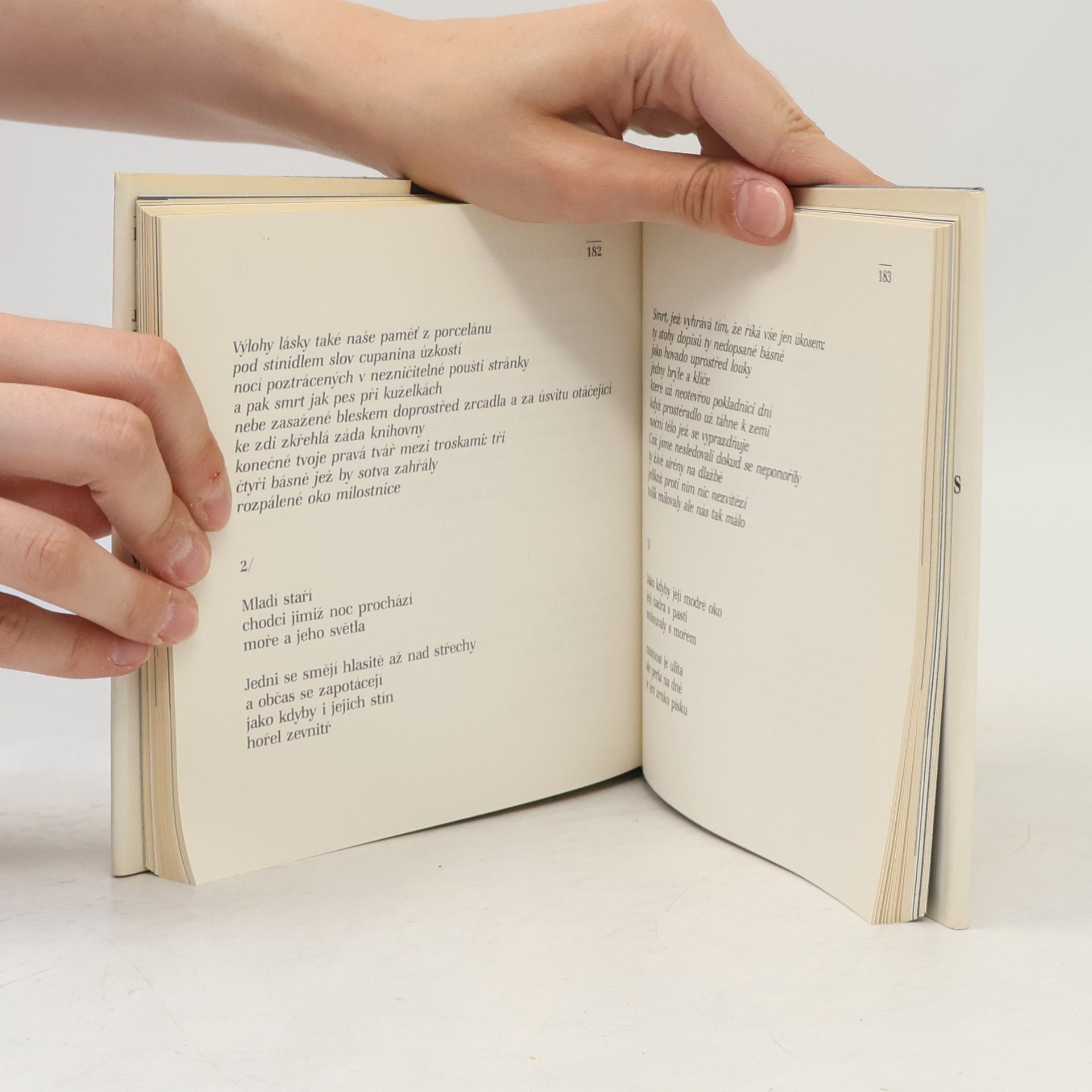 Henri Michaux Maximum poezie. Francouzští básnící poslední doby