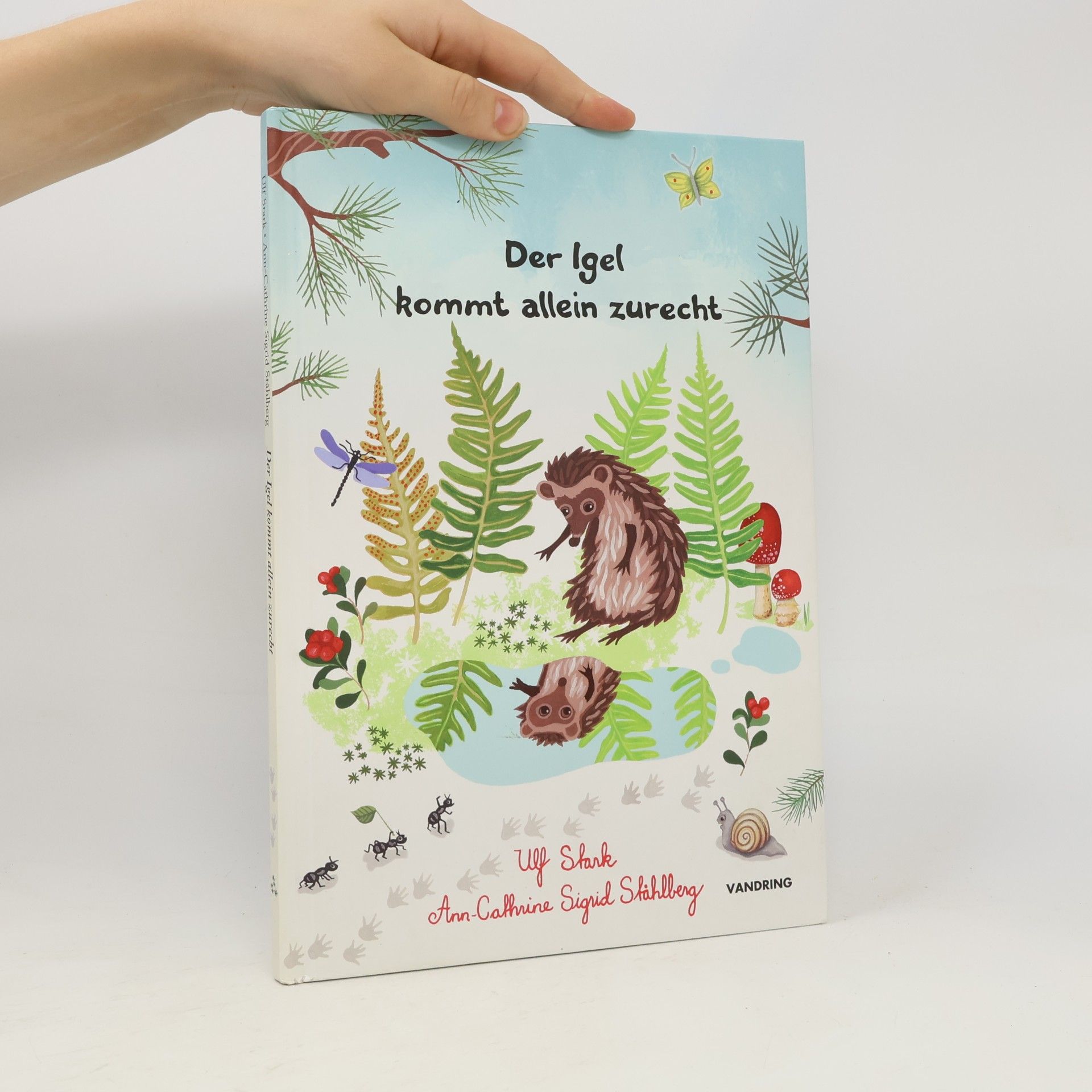 Autorenkollektiv Der Igel kommt allein zurecht