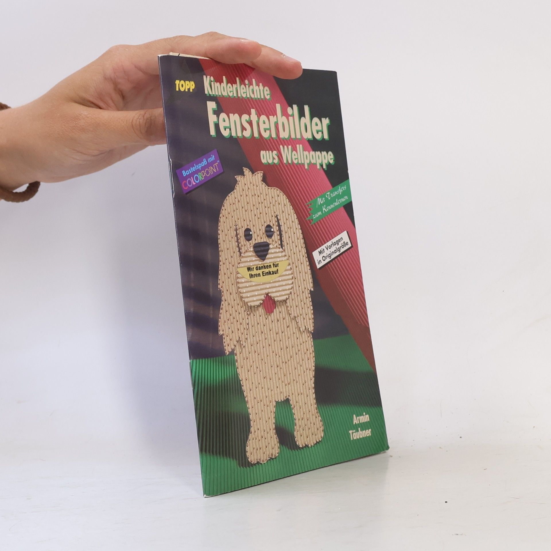 Autorenkollektiv Kinderleichte Fensterbilder aus Wellpappe