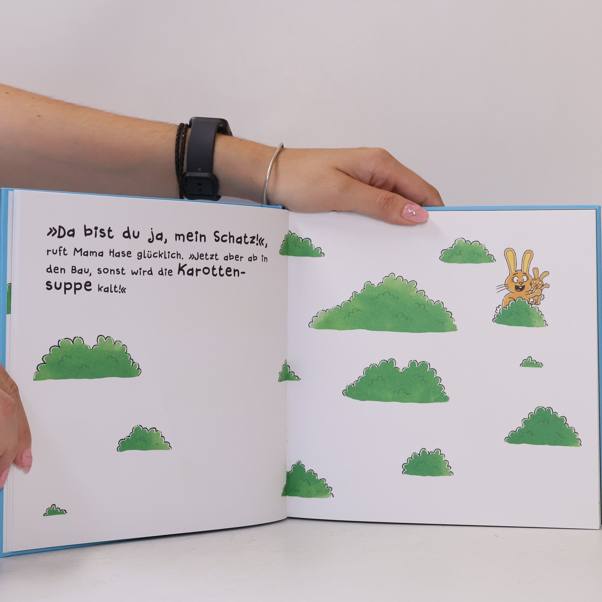 Nico Sternbaum Schaukel das Schaf