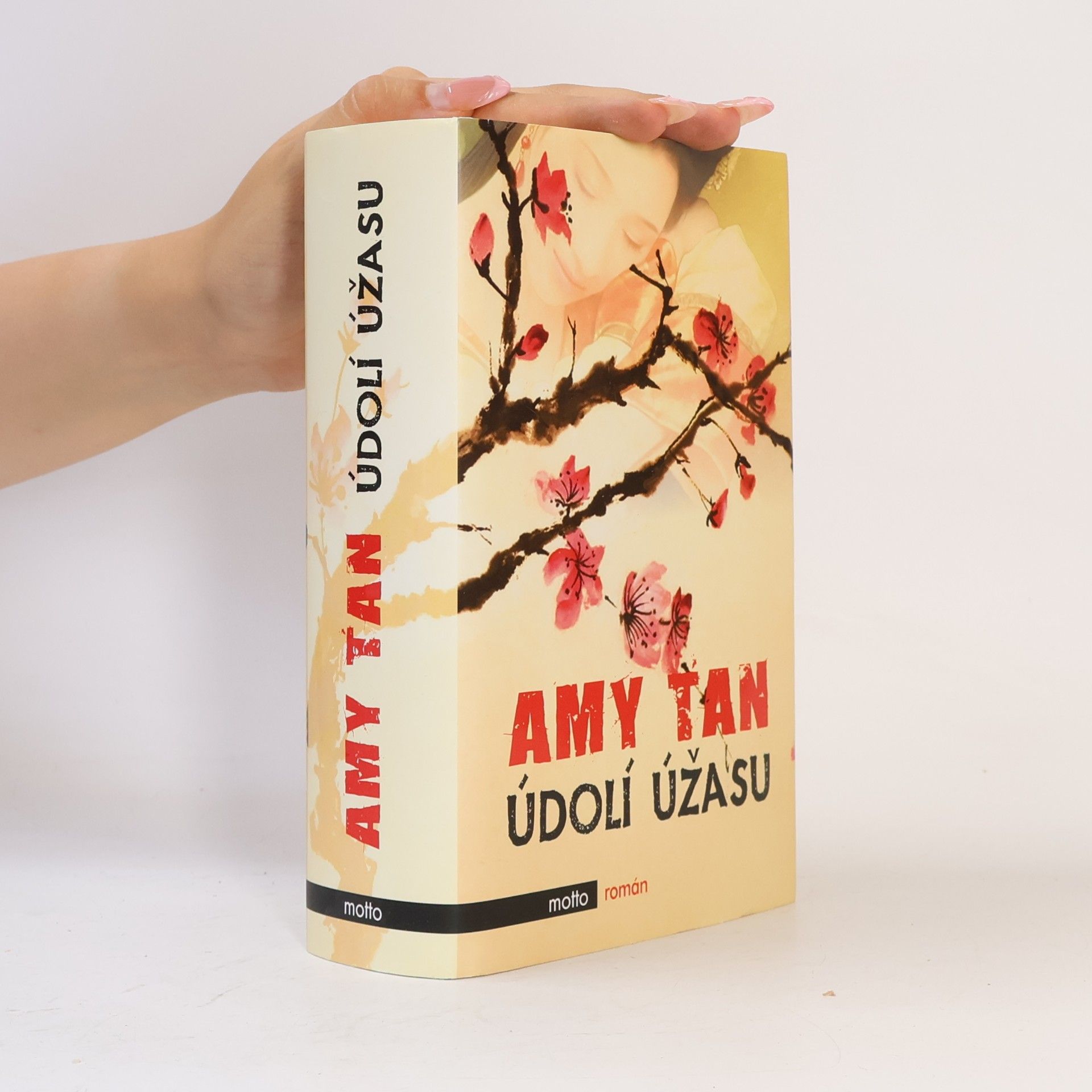 Amy Tan Údolí úžasu