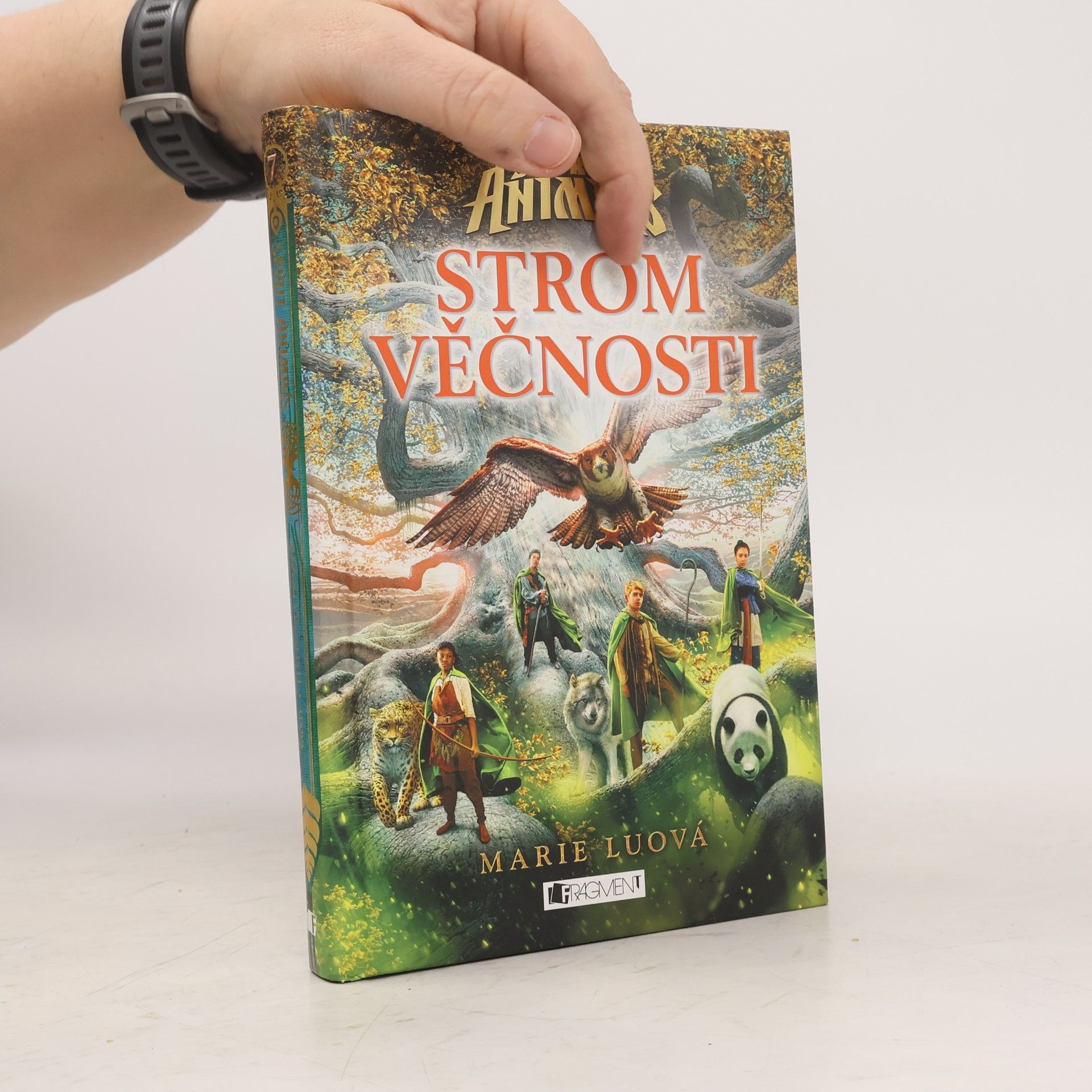 Marie Lu Strom věčnosti