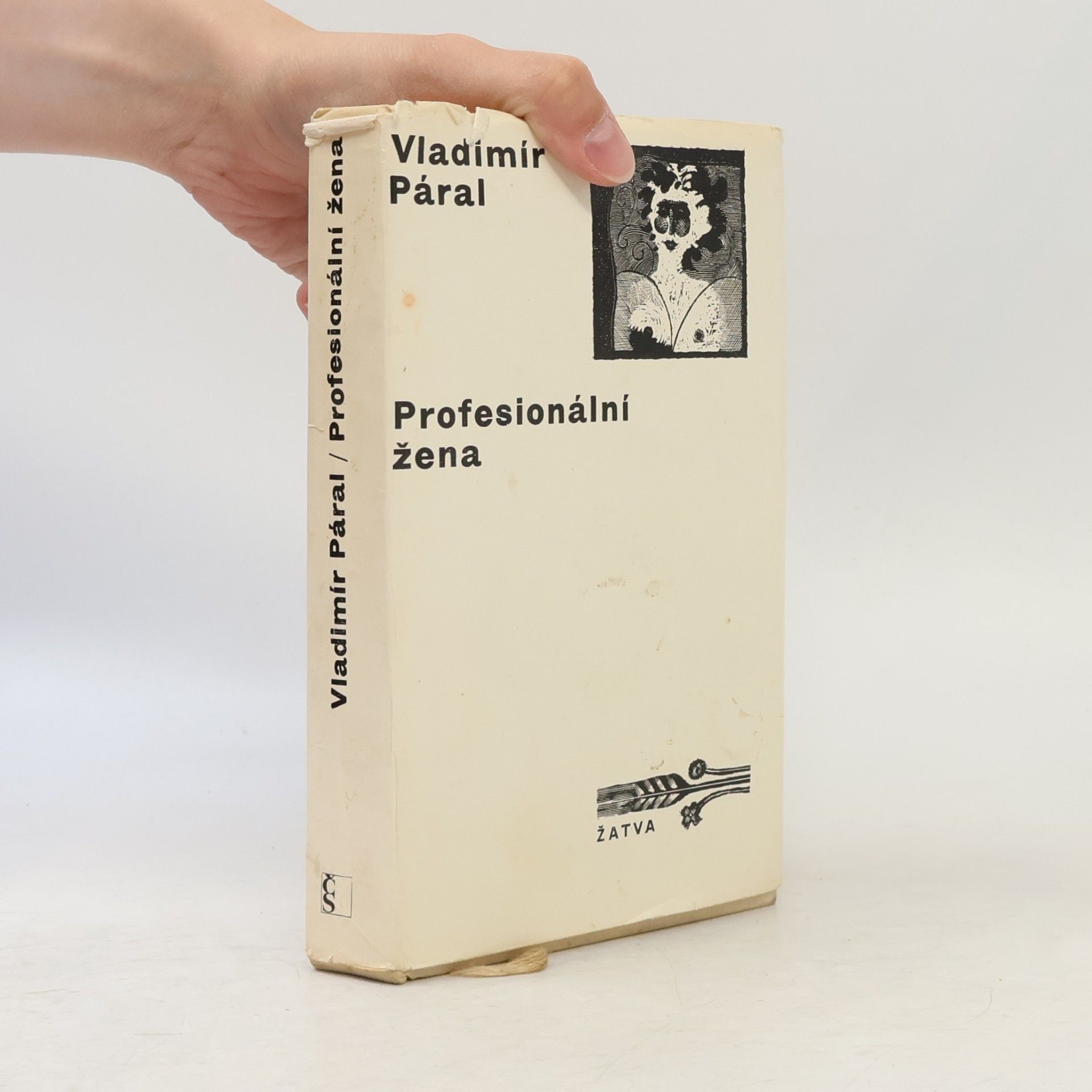 Vladimír Páral Profesionální žena