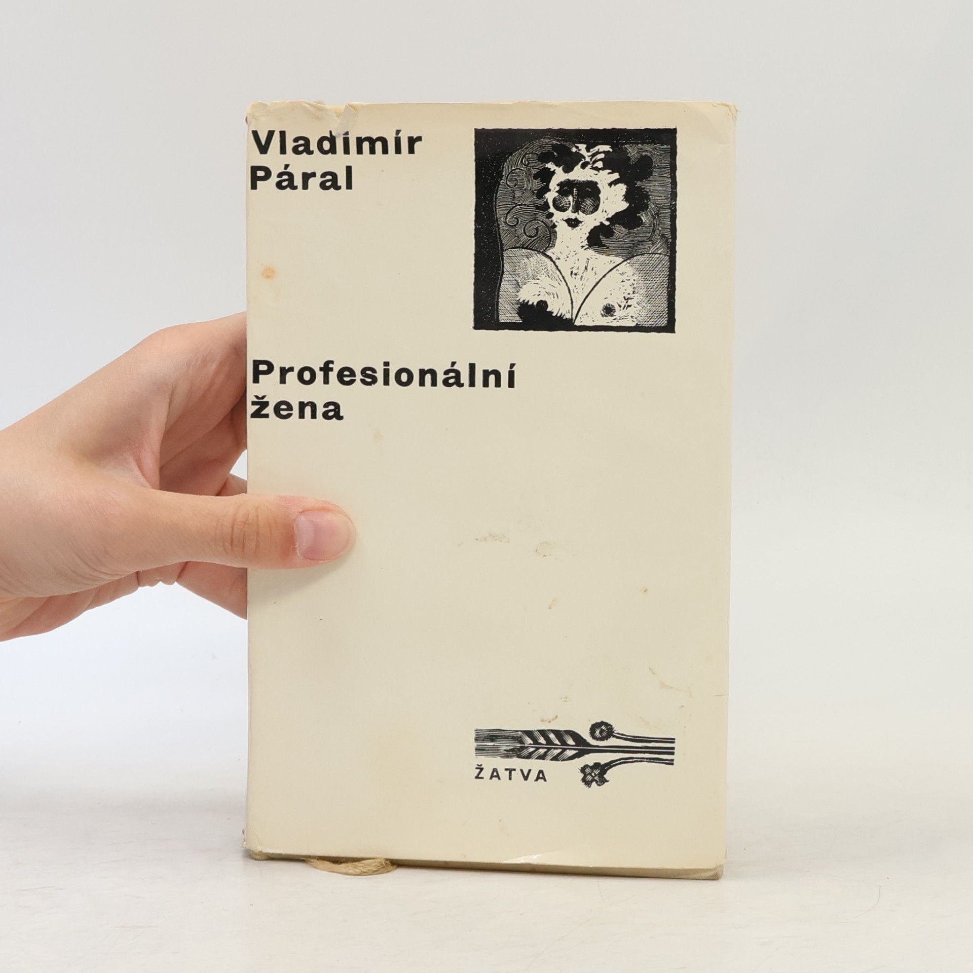 Vladimír Páral Profesionální žena